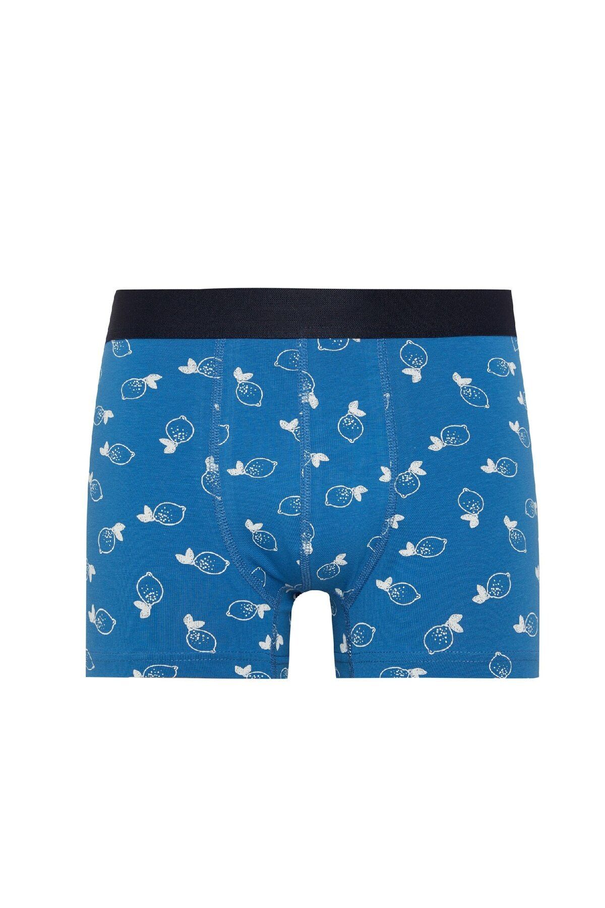 Regular Fit 3-pack Boxer Y3179az24sm Defacto