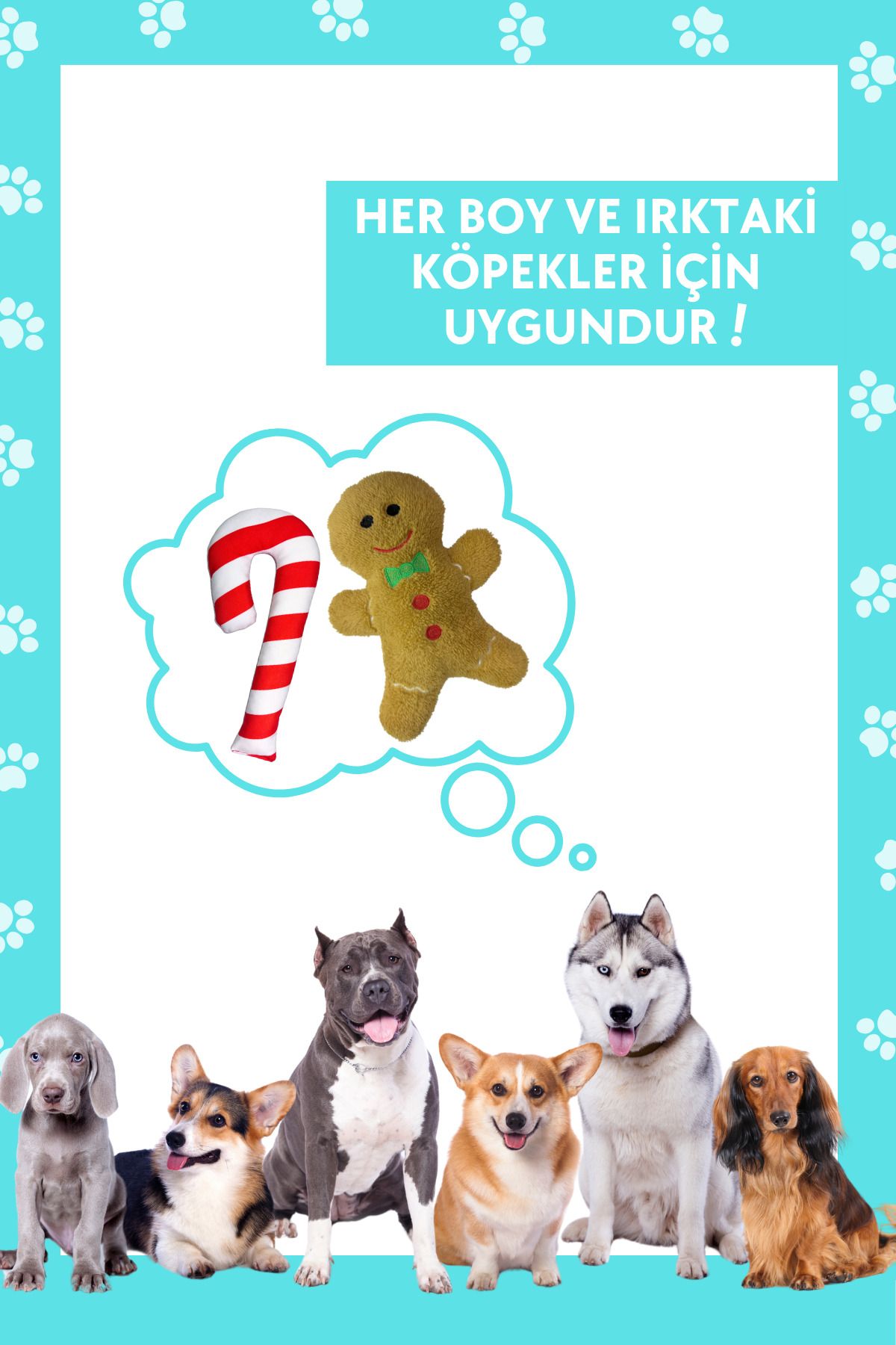 Havhav-Havrika Years Plush Dog Toys Set - Sugar Dog with Rustle Cookie and Vikvik 8