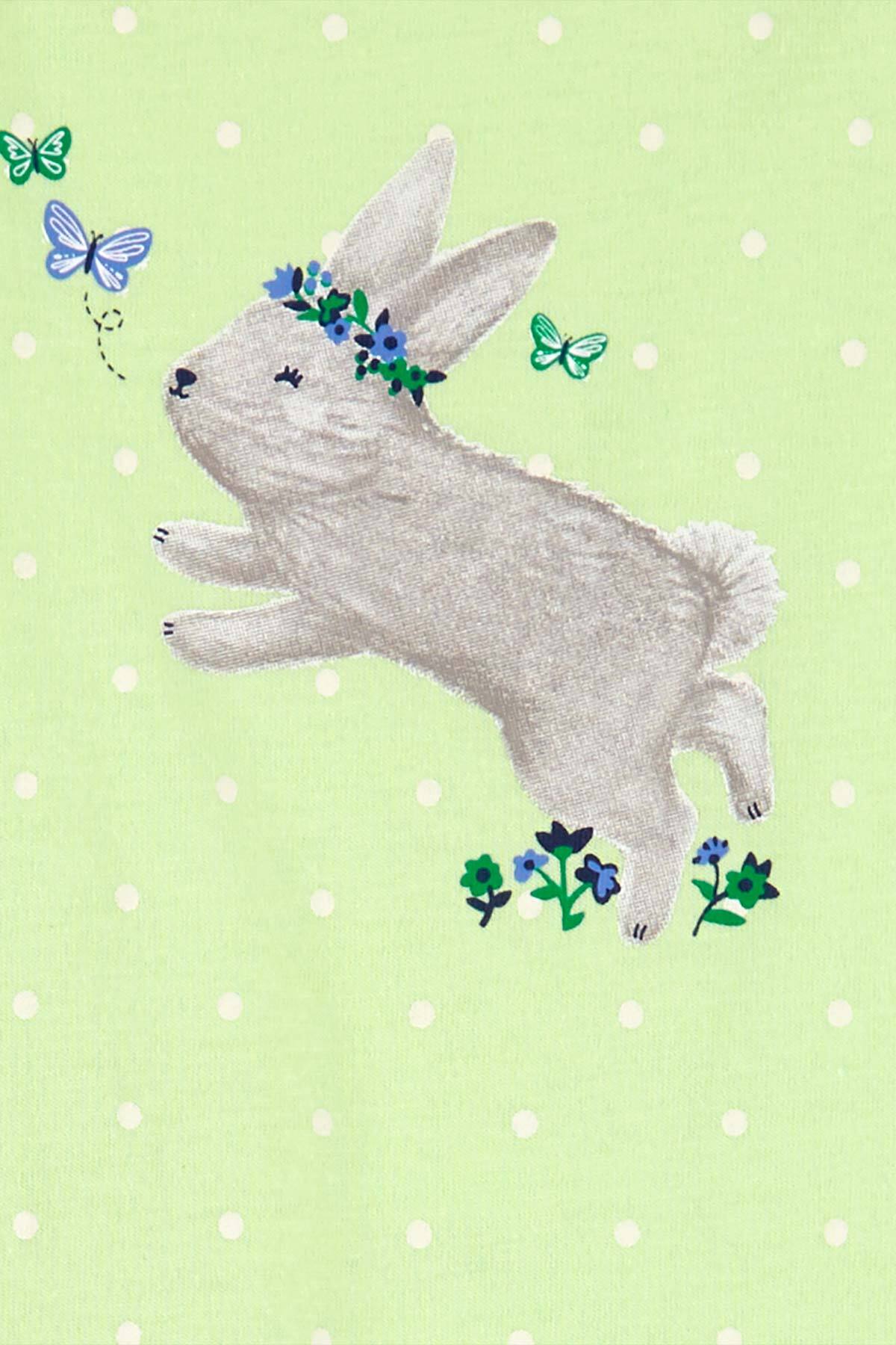 Carter's Kız Bebek Body Pantolon Set fotoğrafı 2 (önizleme)