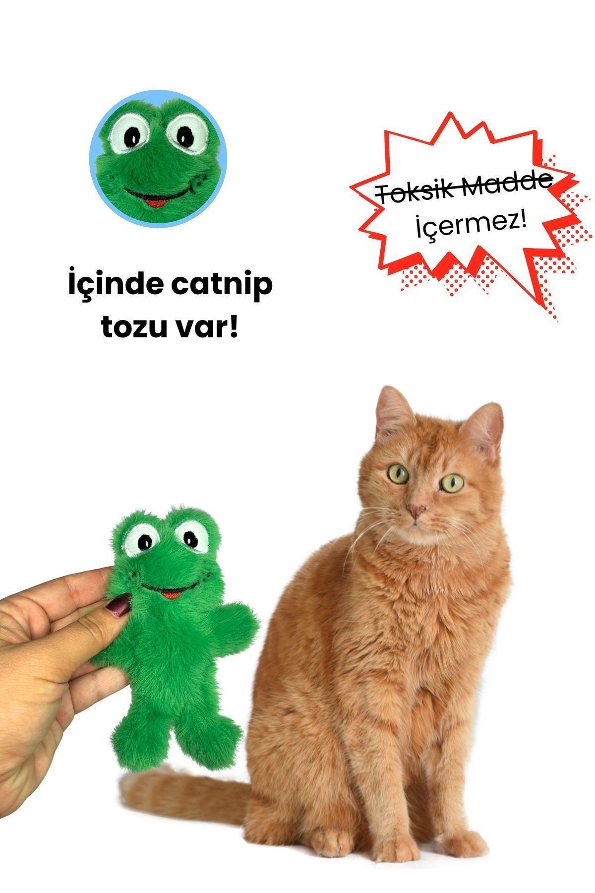 Miyav-Green Color Plush Cat Frog Mint and Activity Toy with Catnip 3