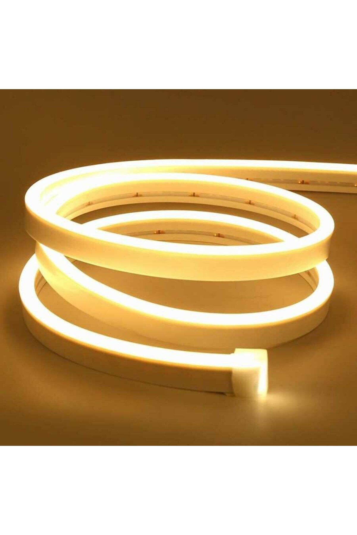 rooster columbia 12 daylight neon strip led 12v