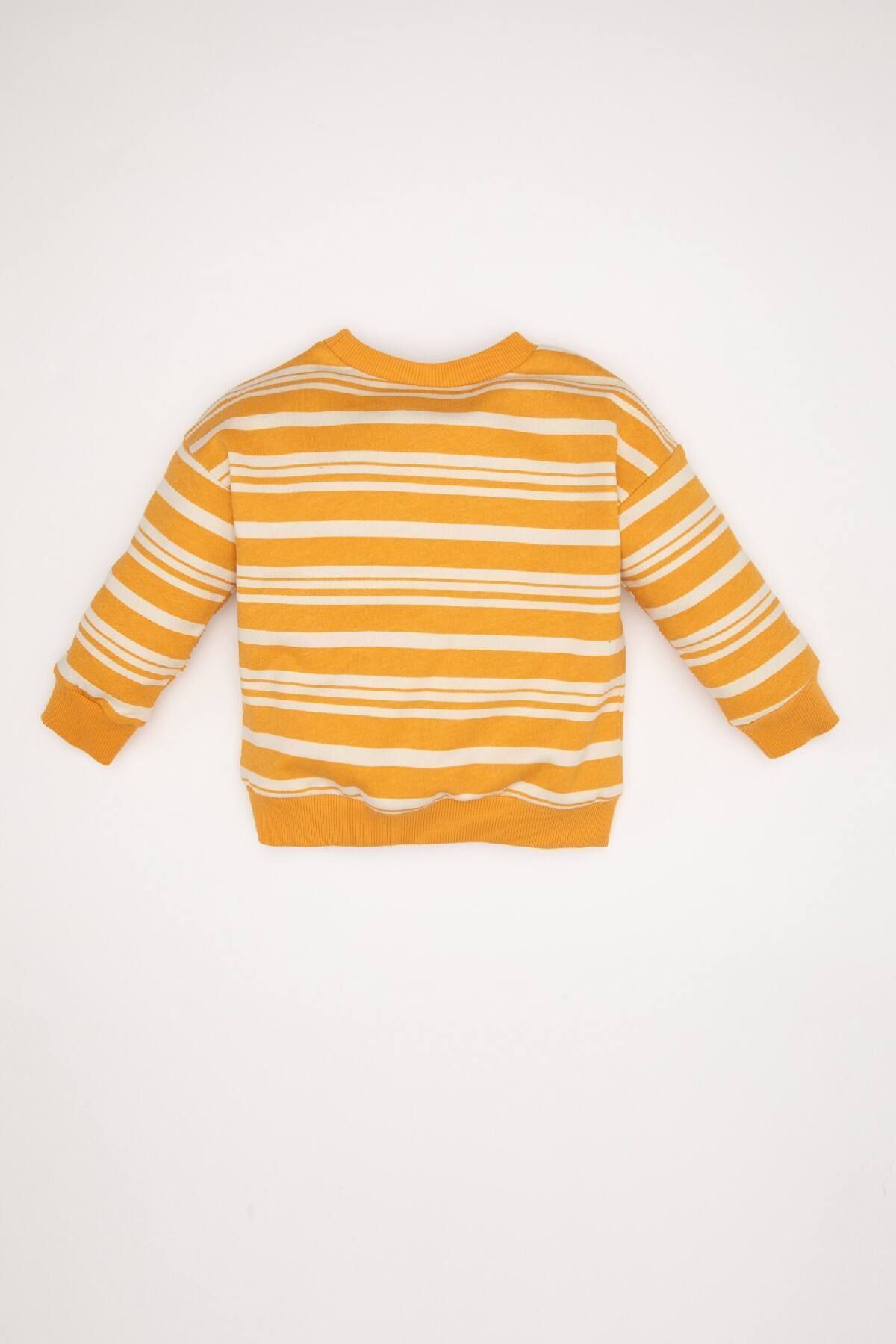 DeFacto-Baby Boy Crew Neck Striped Soft Furry Inside Sweatshirt D4475A524Au 5