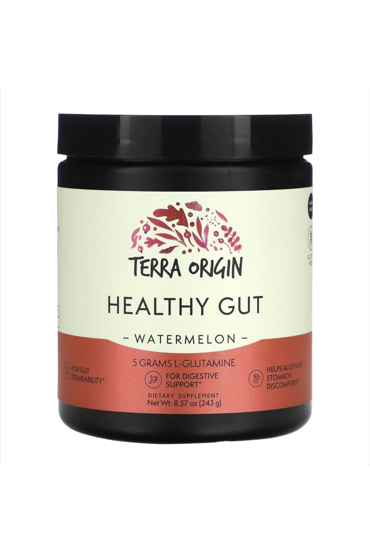 Terra Origin , Healthy Gut, Watermelon, 8.57 oz (243 g) us.vr74