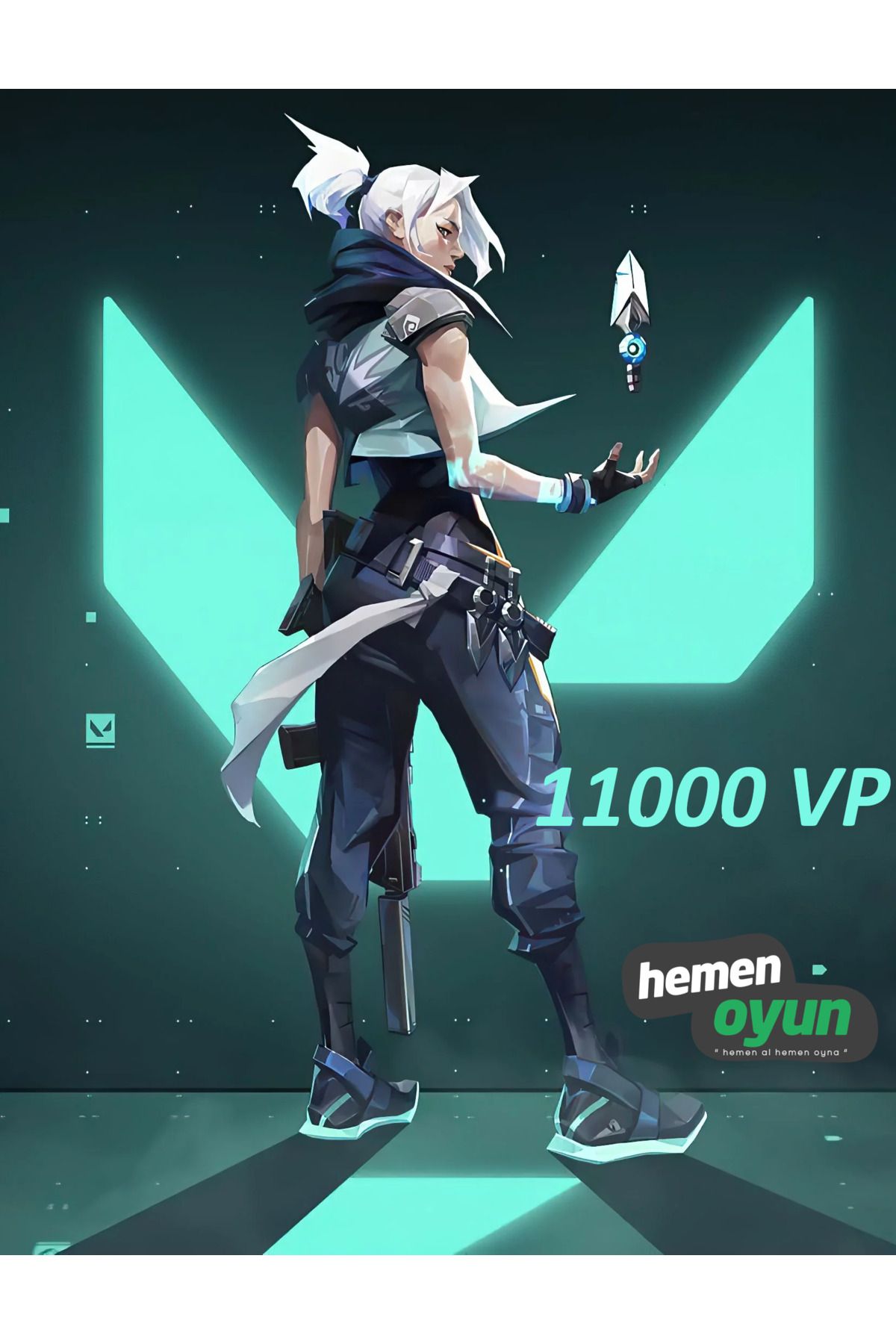 hemenoyun Valorant 11000 VP Points