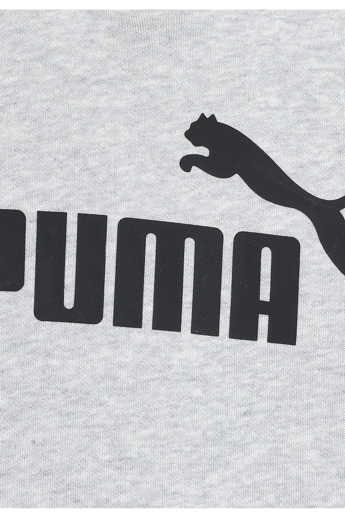 Puma-Essentials Logo Hoodie Jugend 3