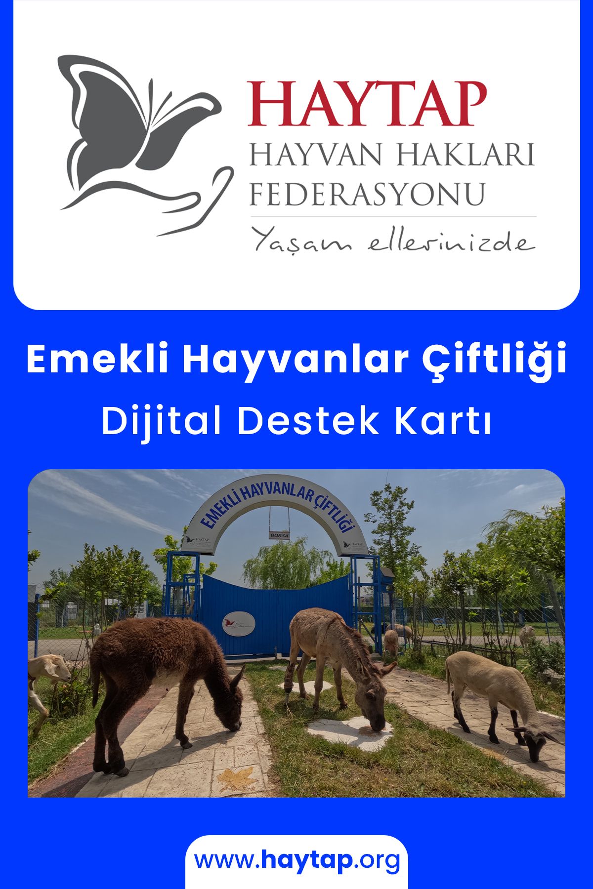 Haytap Emekli Hayvanlar Çiftliği Destek Kartı