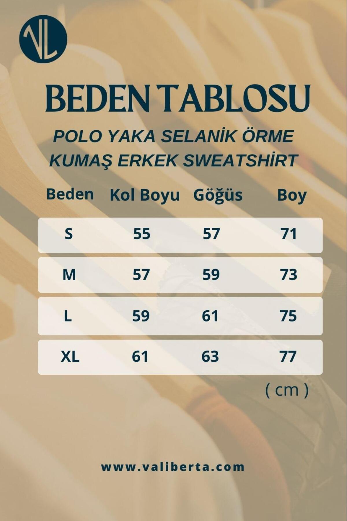 Valiberta  Luis Polo Yaka Selanik Örme Kumaş Erkek Sweatshirt - Soğuk Mavi - Görsel 8