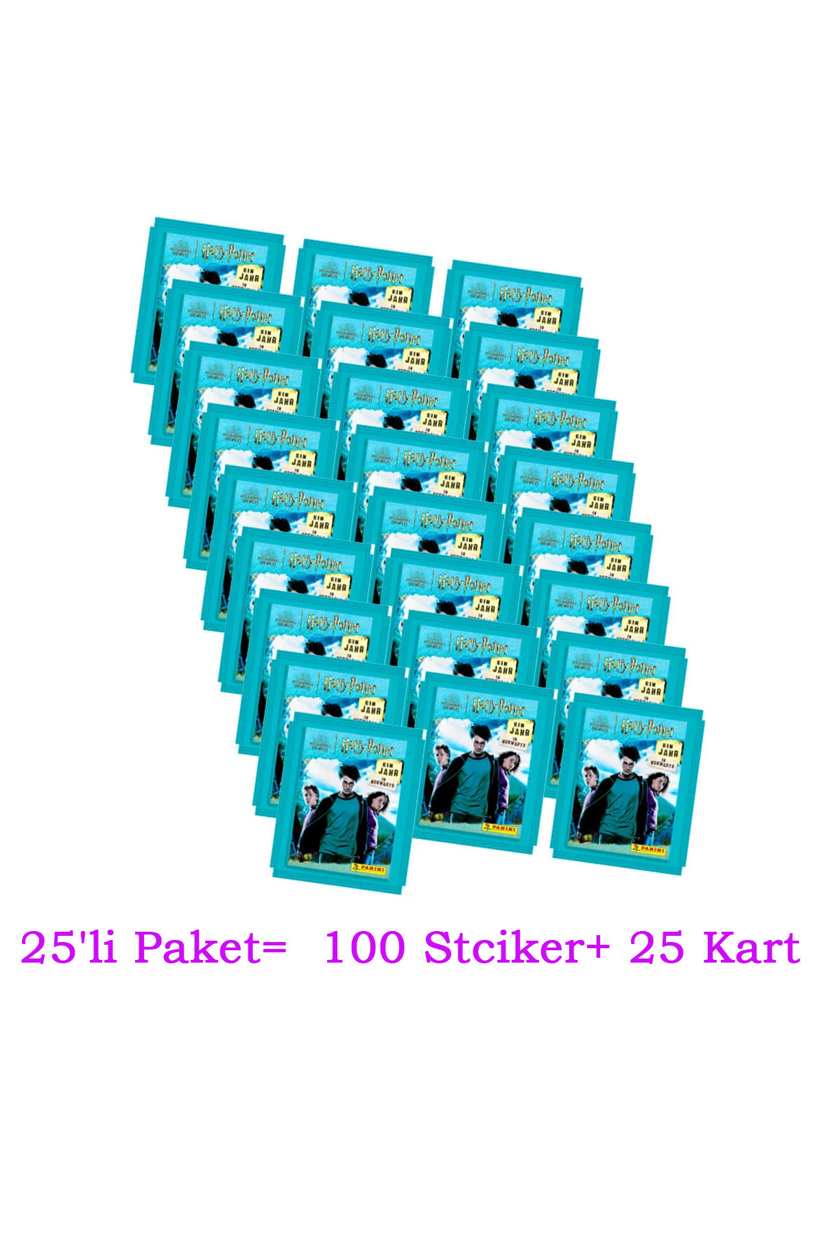 Panini Harry Potter Hogwarts'ta 1 Yıl Sticker Seti 25li Paket (25'li Paket=  100 Stciker+ 25 Kart)