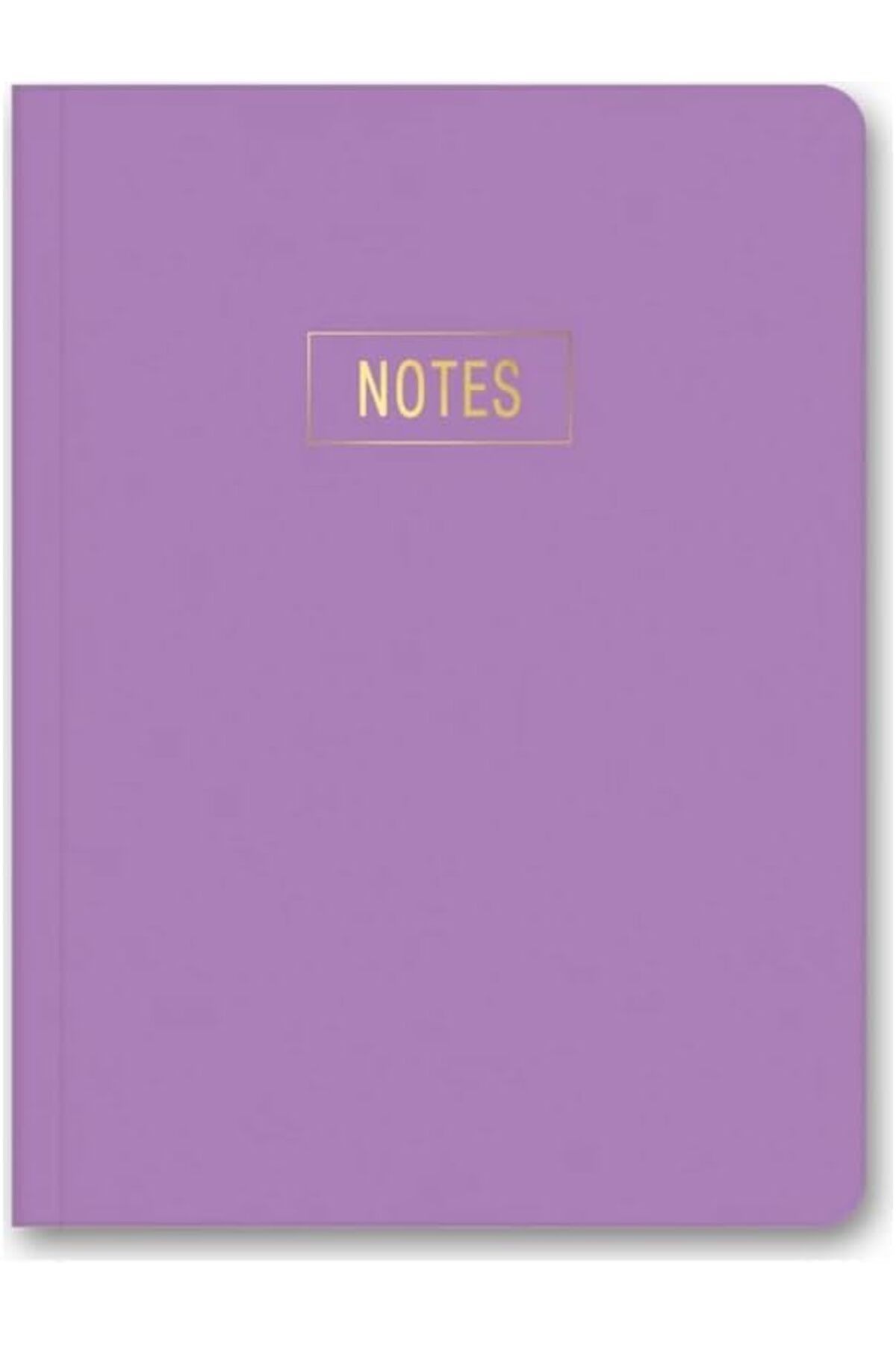 STOREMAX nffashopm Color Notes Mini Defter Çizgili Mor 14x20 cm storestarx 1051353