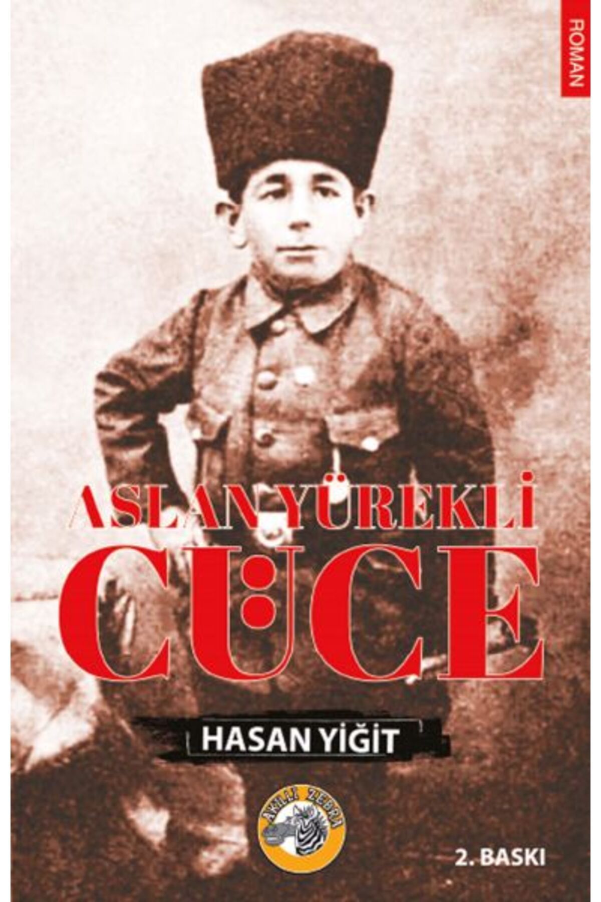 Türk Dil Kurumu Yayınları Aslan Yürekli Cüce