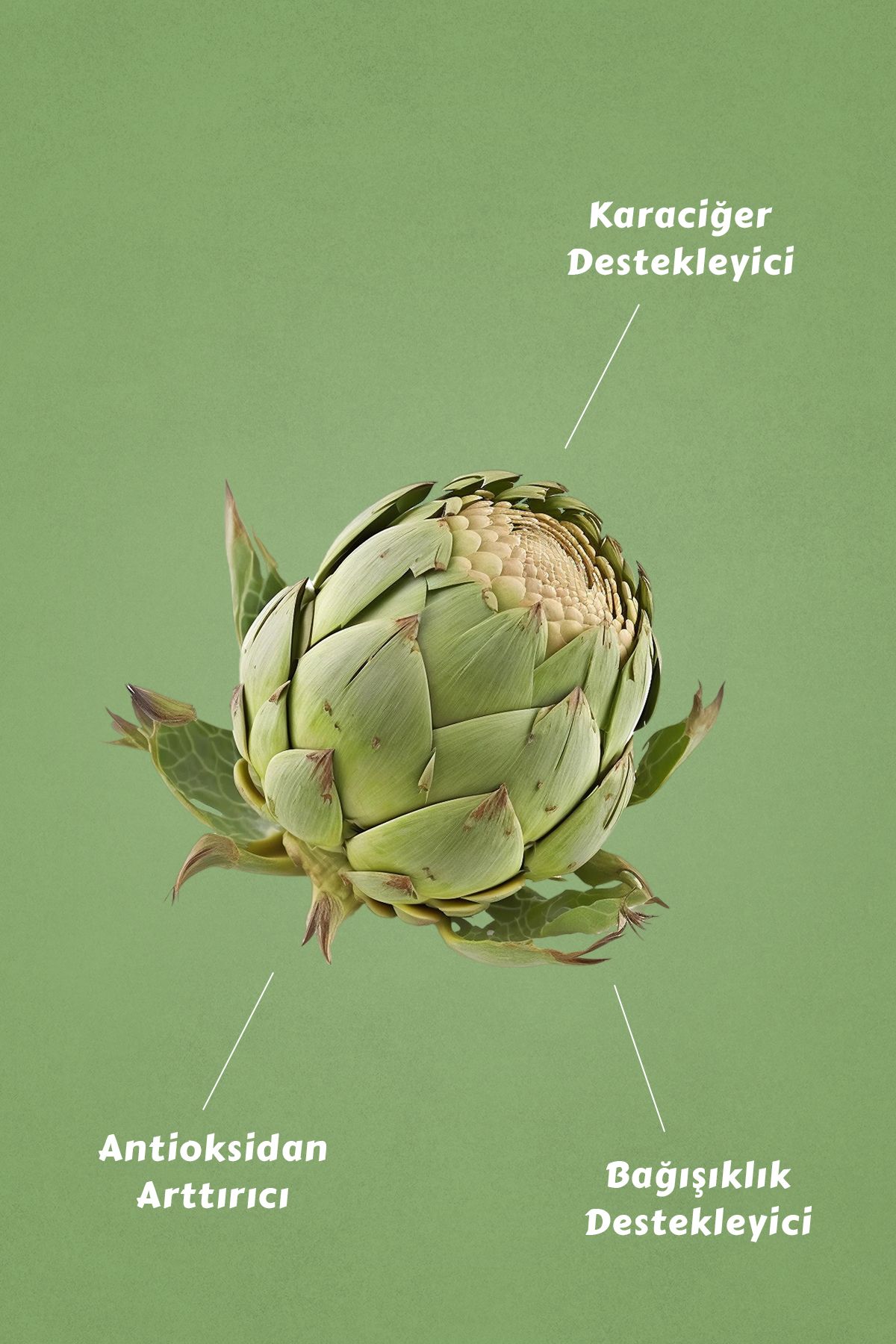 Mecitefendi-40 Pieces Artichoke Tea Decorated Bags 3