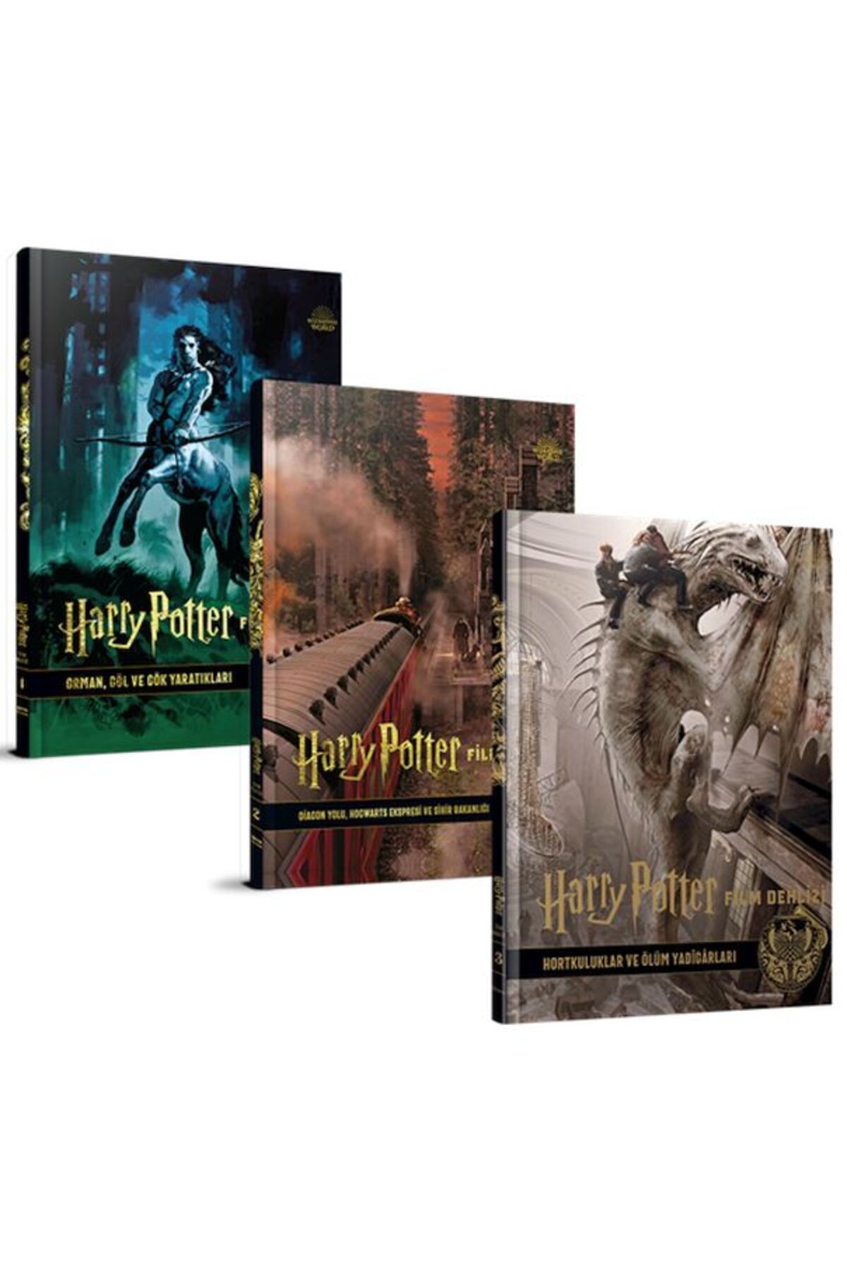 Teras Kitap Harry Potter Film Dehlizi Serisi 3 Kitap Takım ( Karton Kapak)