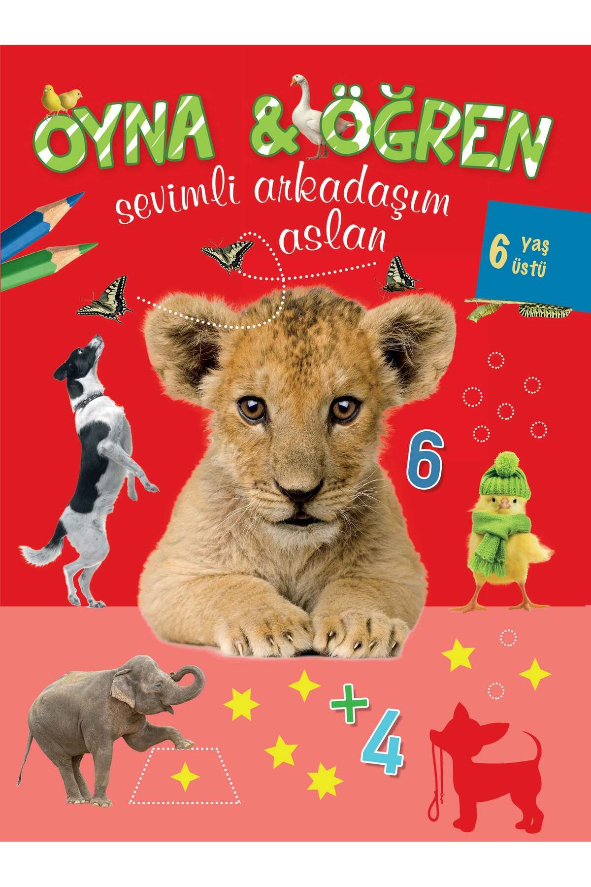 Karma Kitaplar Oyna Öğren Sevimli Arkadaşım Aslan 6 Yaş Üstü kitap(Korunakli Posetle)