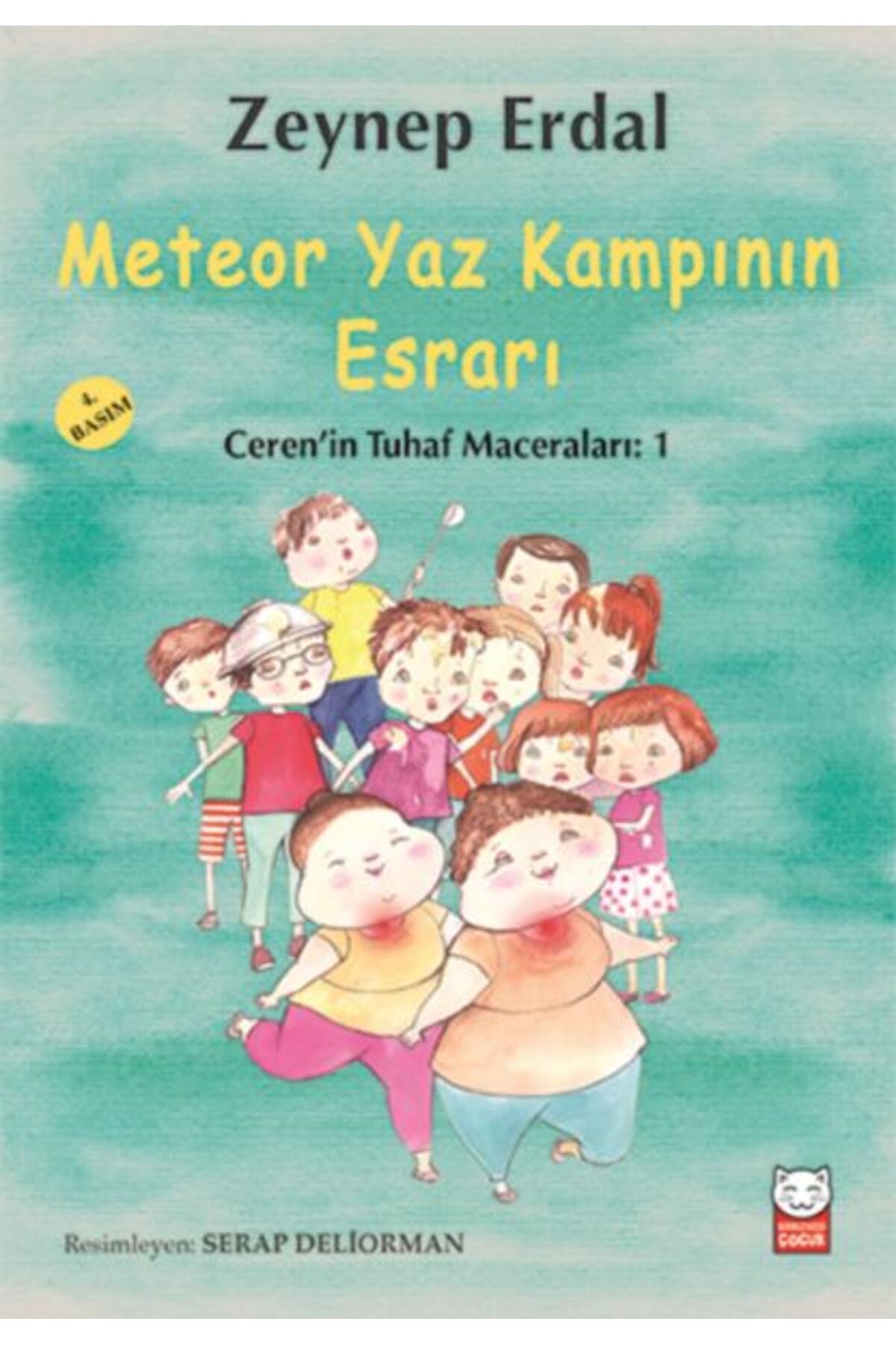 Kırmızı Kedi Çocuk Meteor Yaz Kampının Esrarı