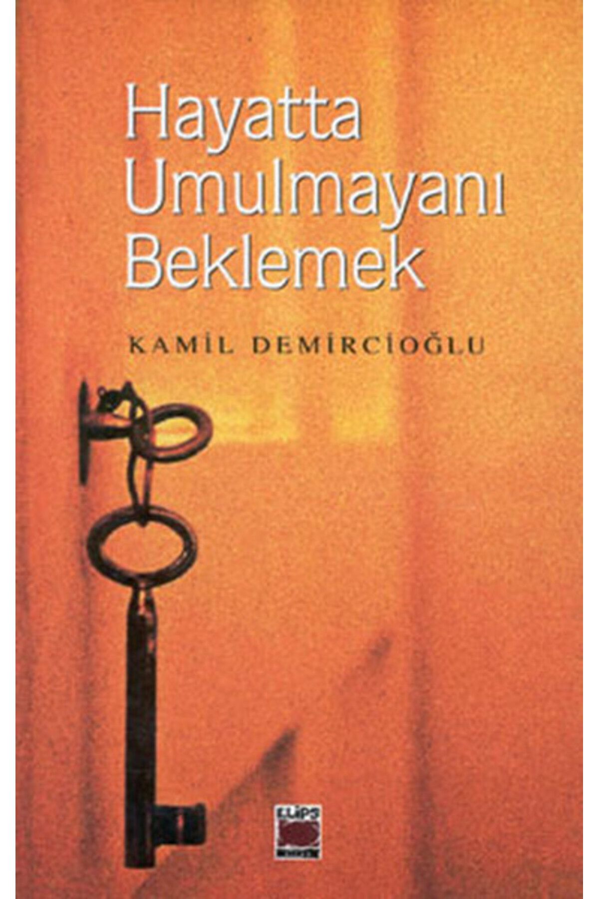 Elips Kitap Hayatta Umulmayanı Beklemek