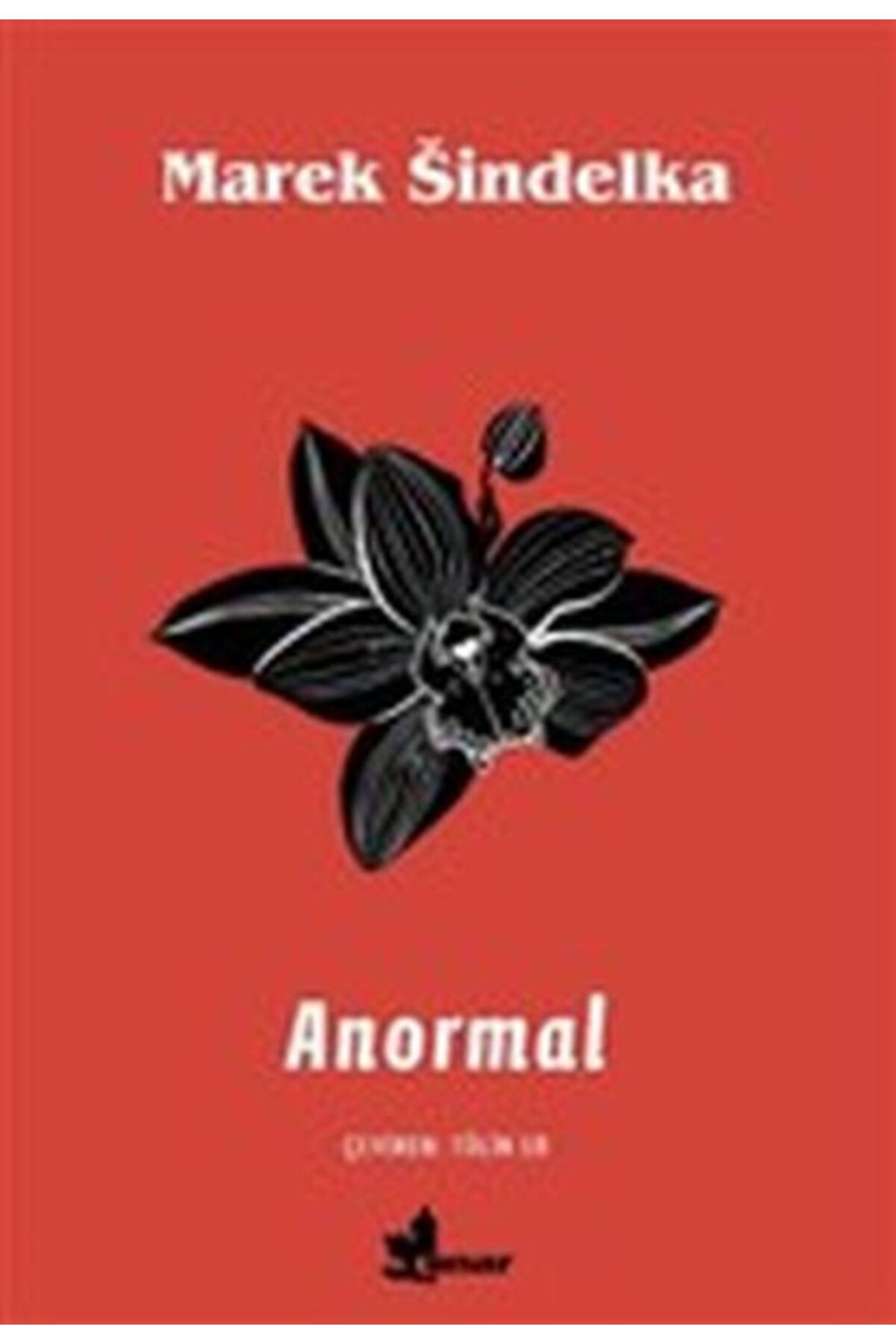 Çınar Yayınları Anormal