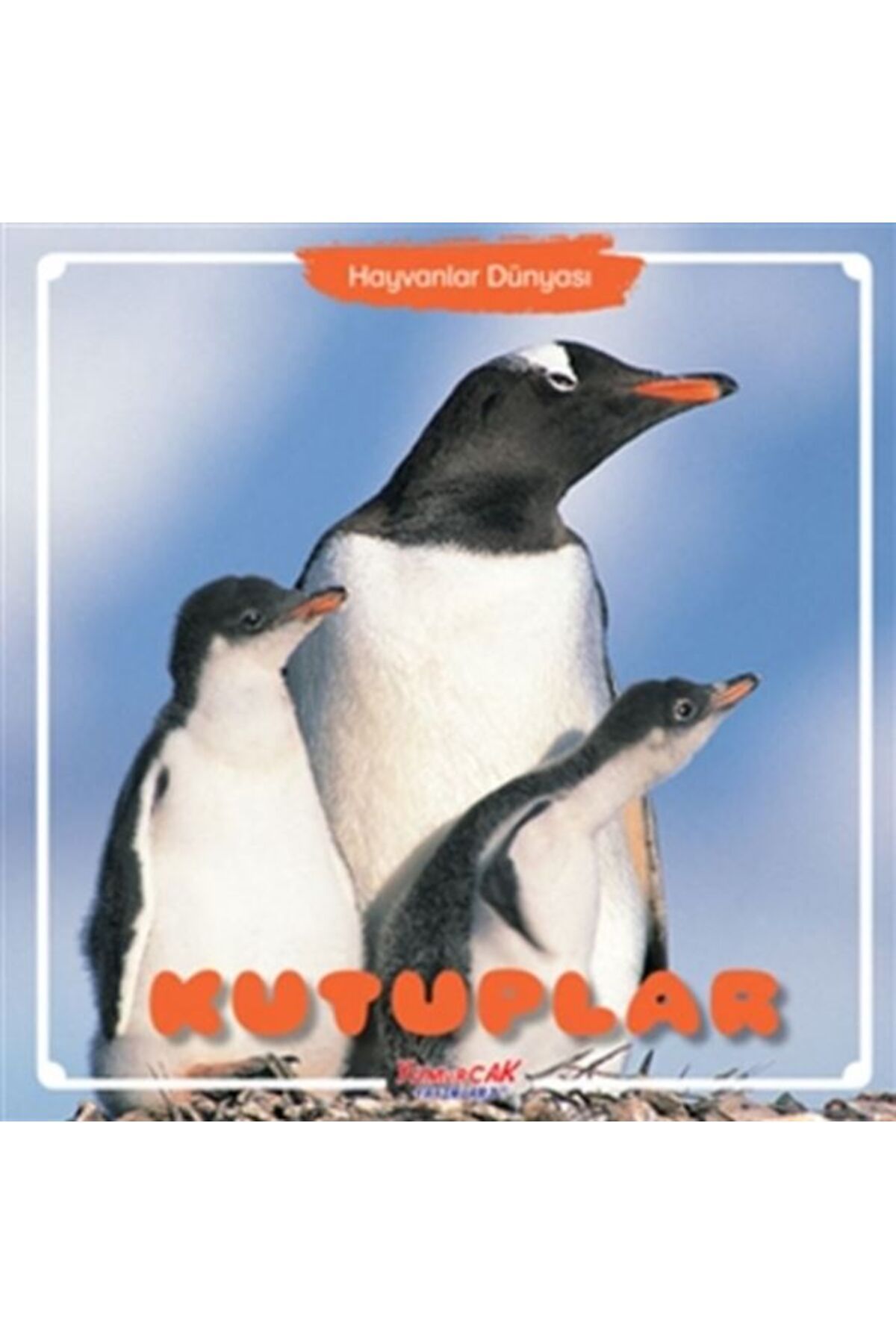 Karma Kitaplar Kutuplar - Hayvanlar Dünyası kitap (Korunakli Posetle)