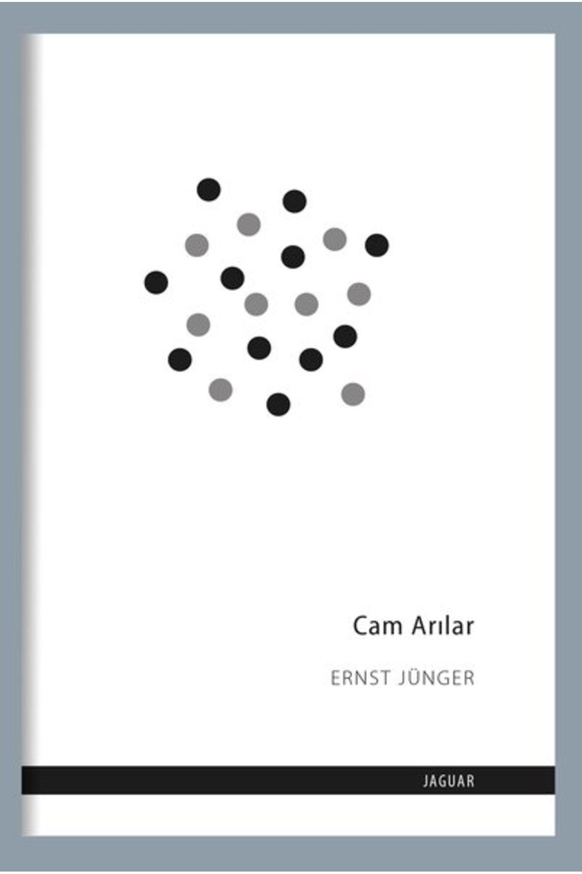 Jaguar Kitap Cam Arılar