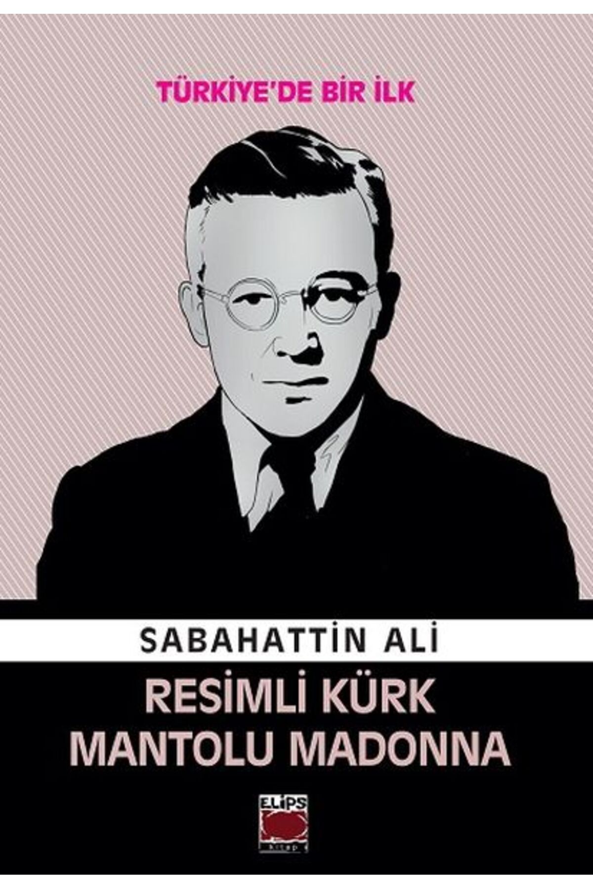 Destek Yayınları Resimli Kürk Mantolu Madonna