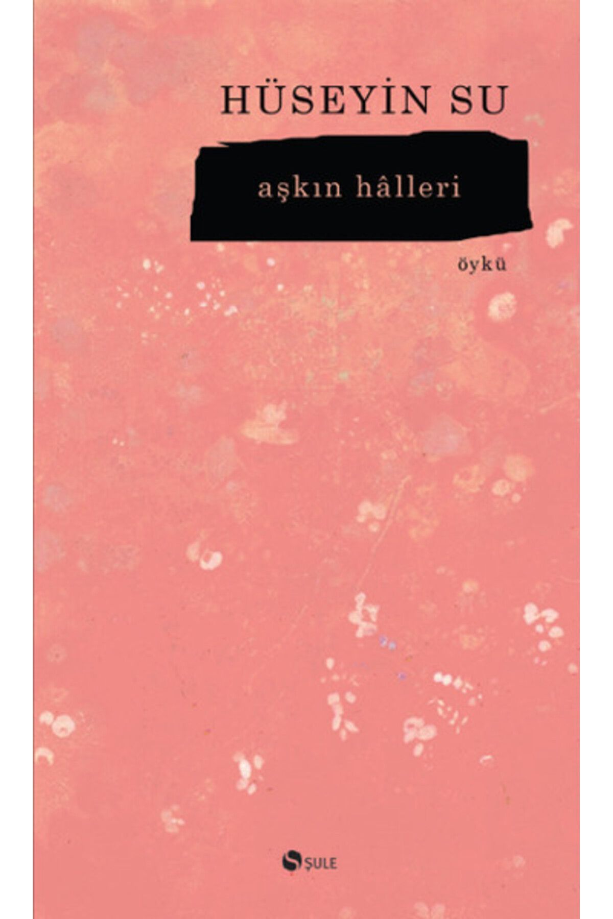 Şule Yayınları Aşkın Halleri