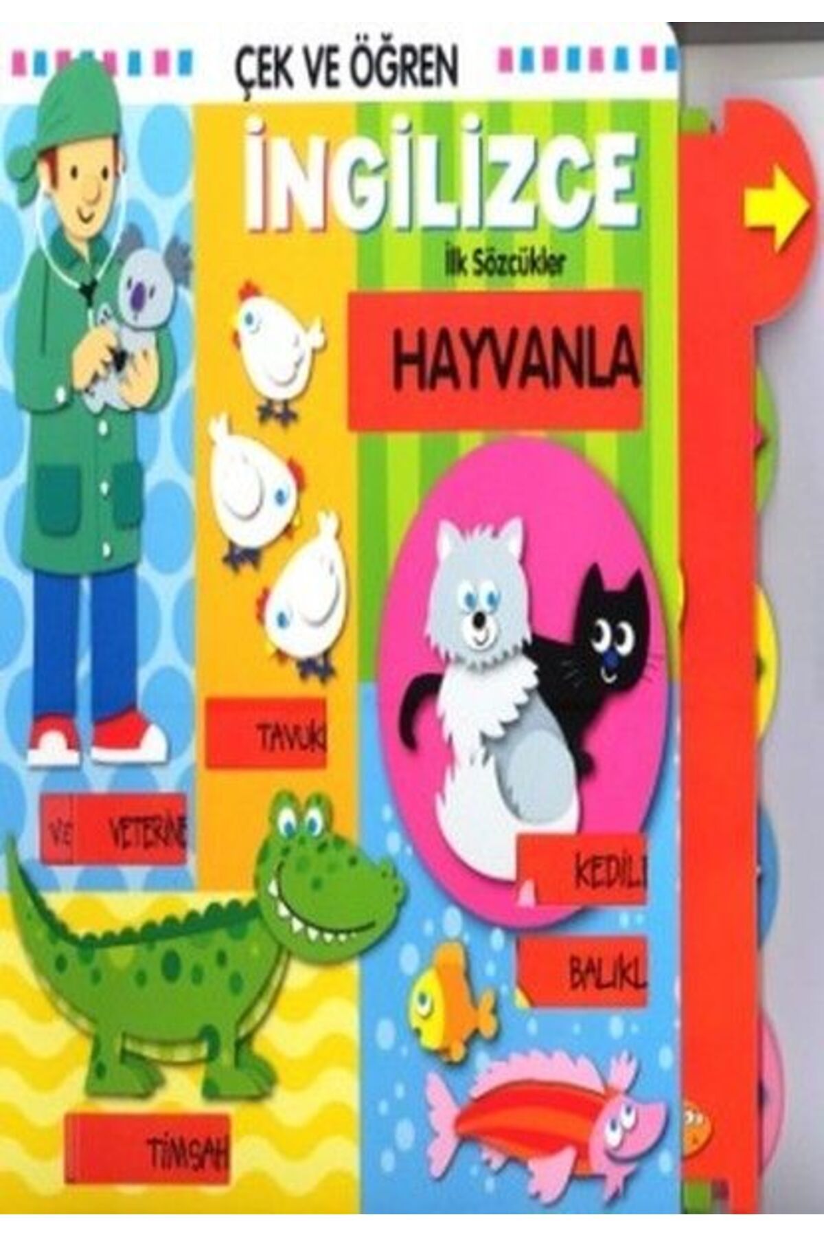 Türk Dil Kurumu Yayınları Çek Ve Öğren İngilizce - Hayvanlar
