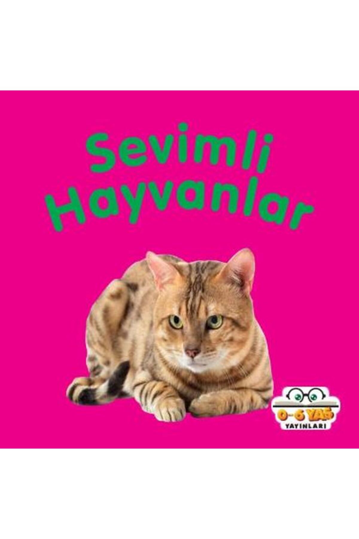 0-6 Yaş Yayınları Sevimli Hayvanlar - Mini Karton Kitaplar