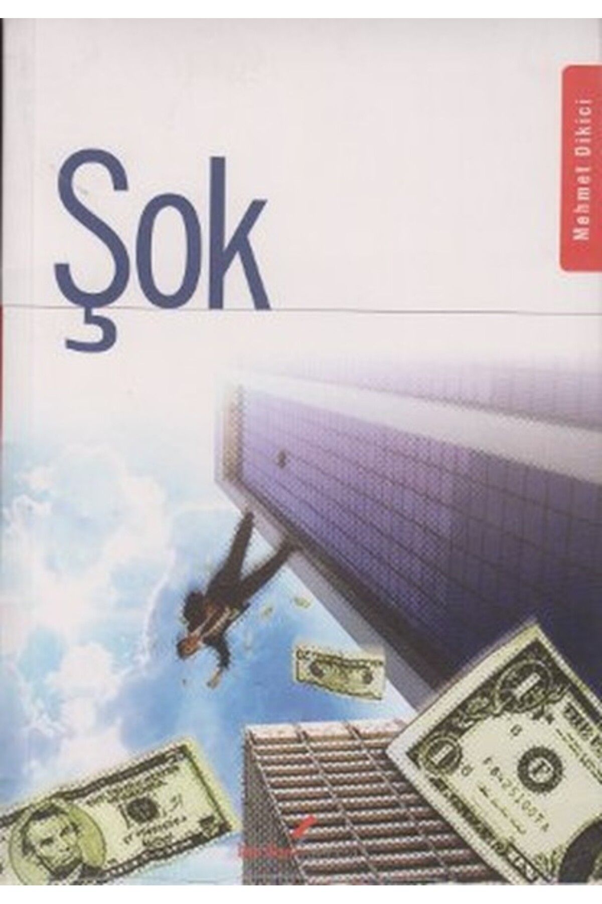 Berikan Yayınları Şok Roman