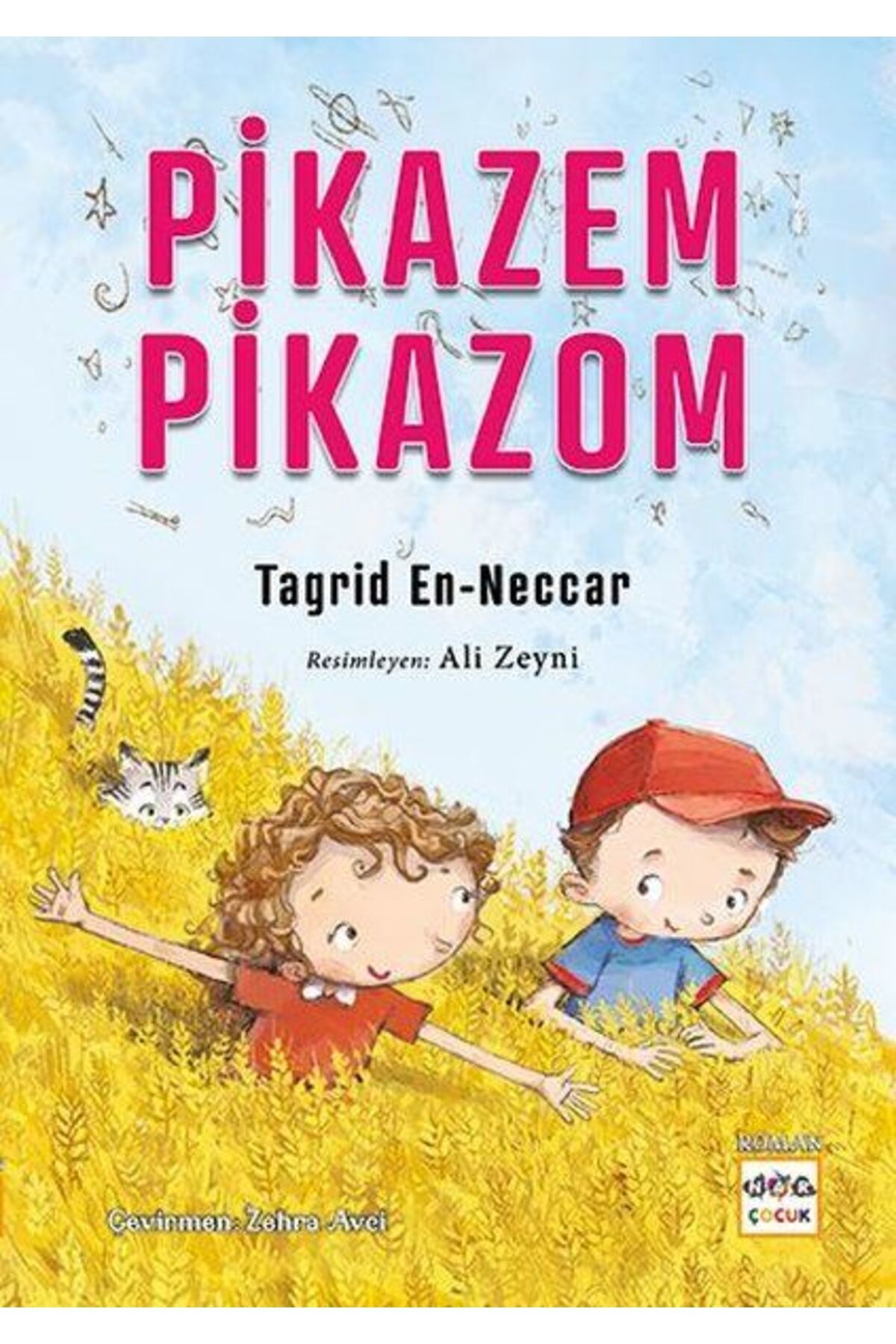 Nar Yayınları Pikazem Pikazom
