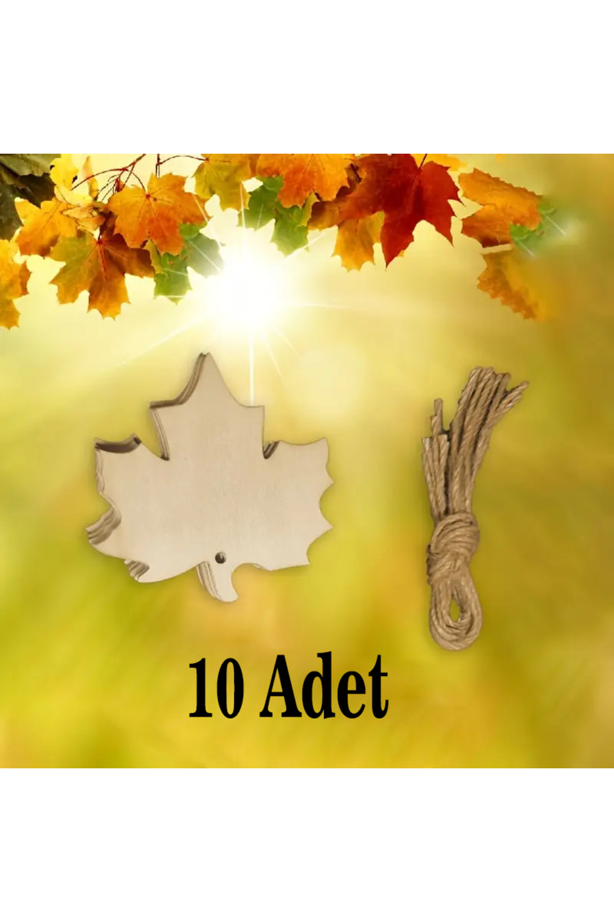 10 Adet Ahşap Yaprak Boyama Seti + 6 lı Boya+ 2 Fırça ile 7