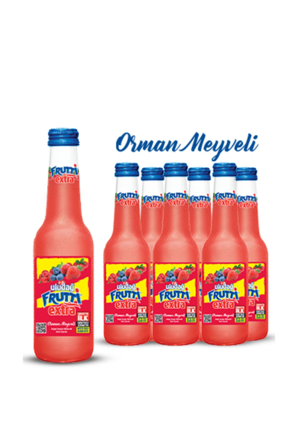 Uludağ Frutti Extra Orman Meyveli 250 Ml X 6 Adet