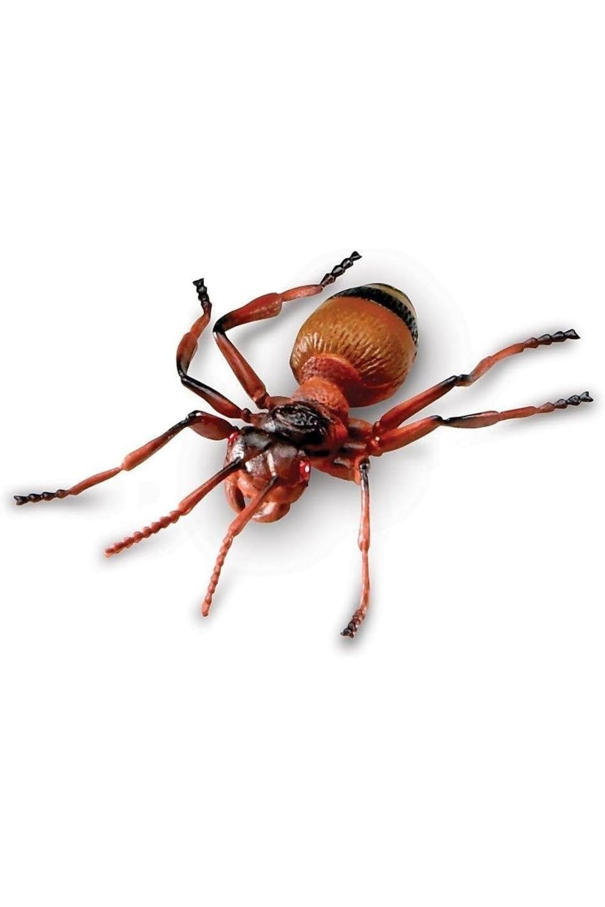 Learning Resources-Jumbo Insects-LER0789 6