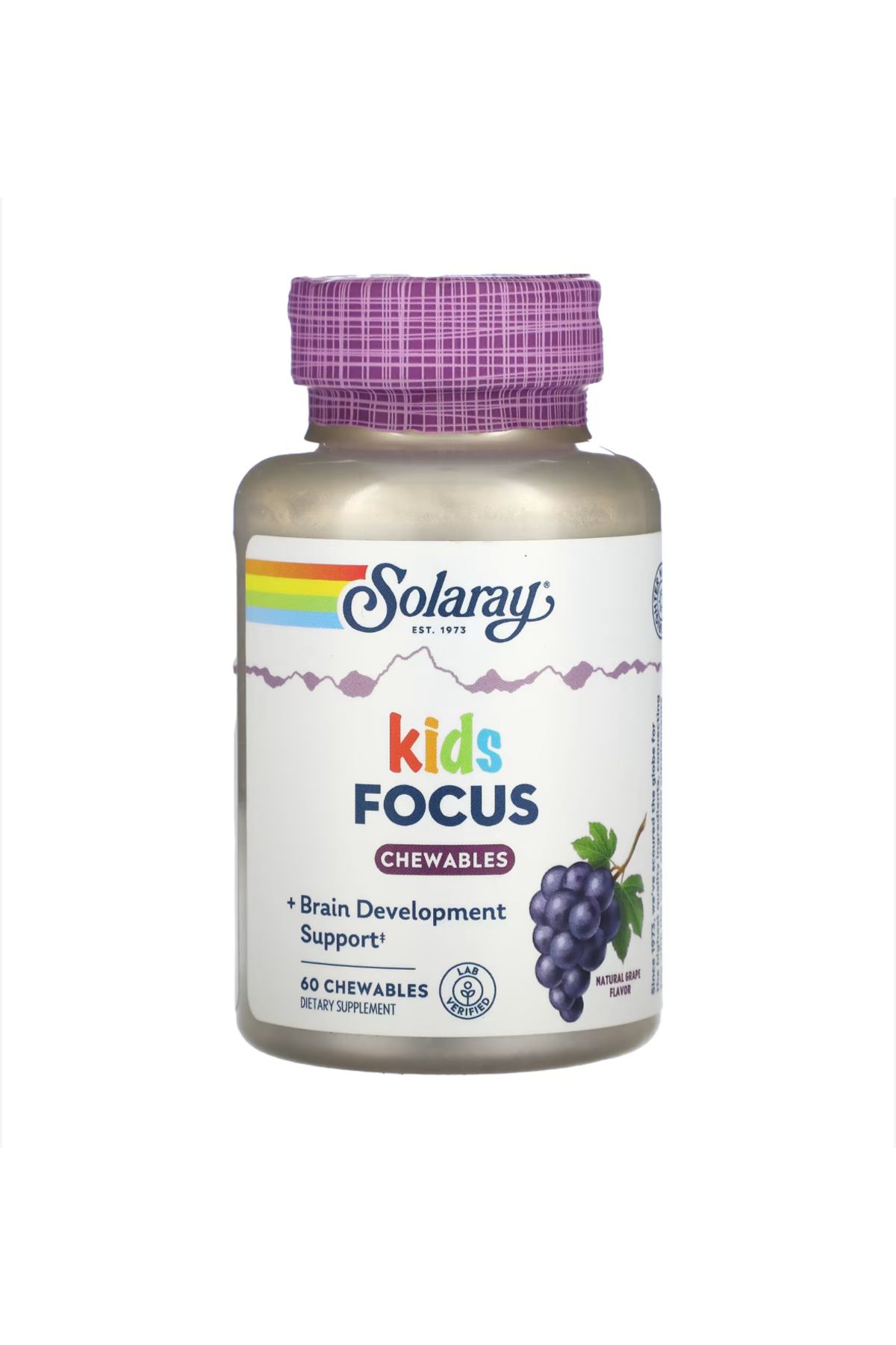 Solaray , Kids, Focus Chewables, Natural Grape, 60 Chewables us.ver47