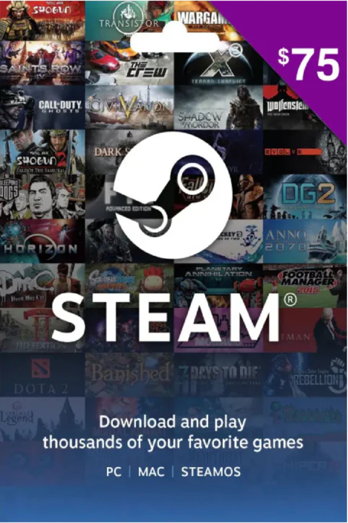 hemenoyun Steam Gift Card 75 USD Dolar Cüzdan Kodu