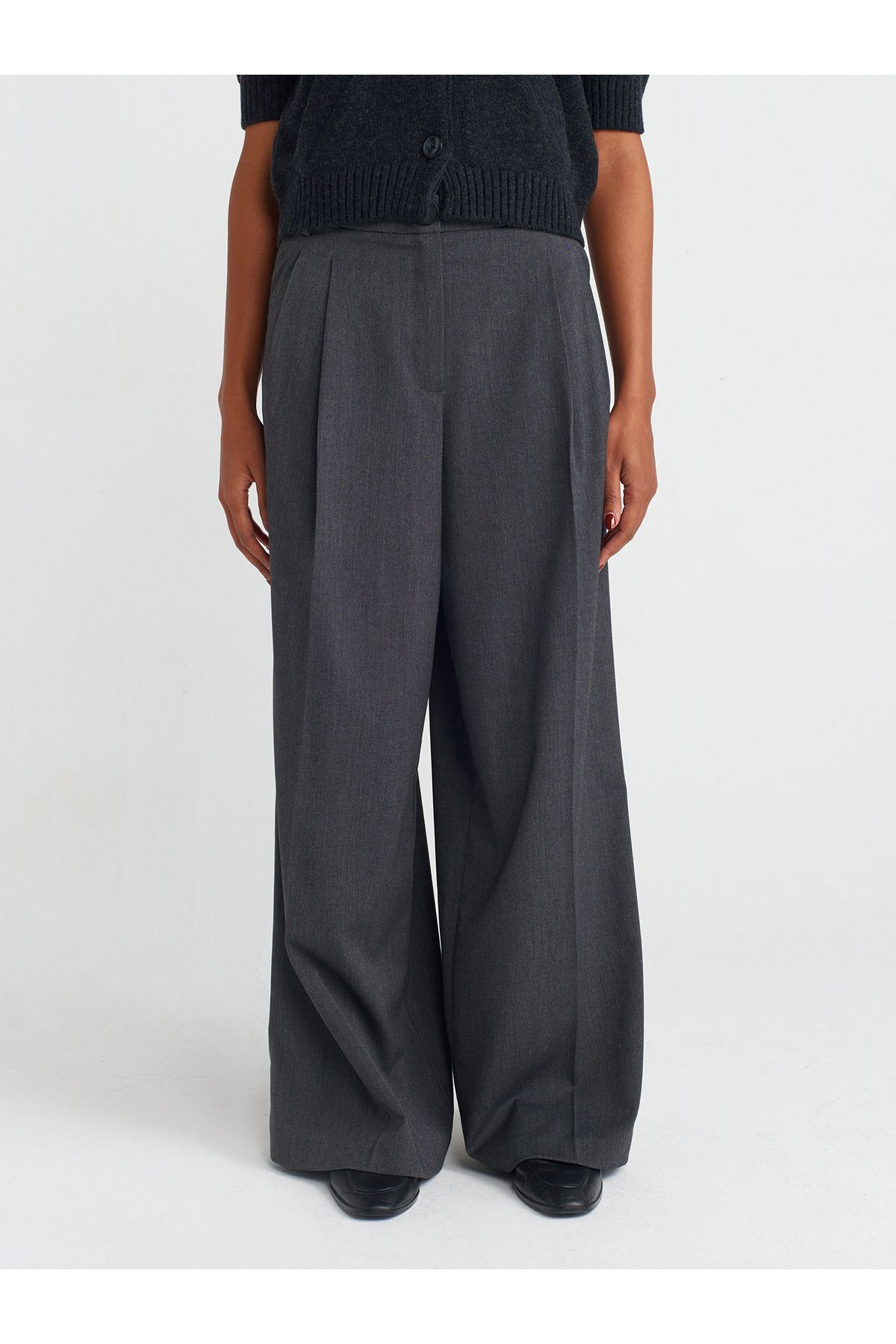 Dilvin-71576 Model - Anthracite Color Double Pleated Trousers 3