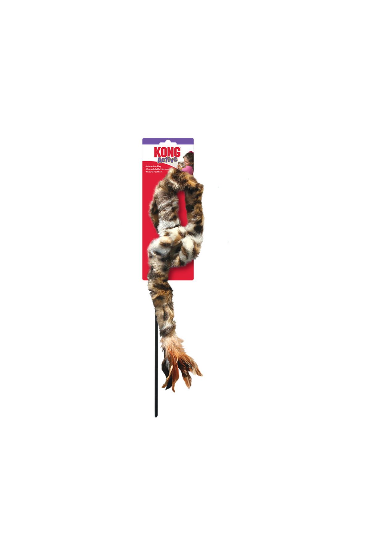 Kong-Swizzle Bird Teaser Cat Toy 1