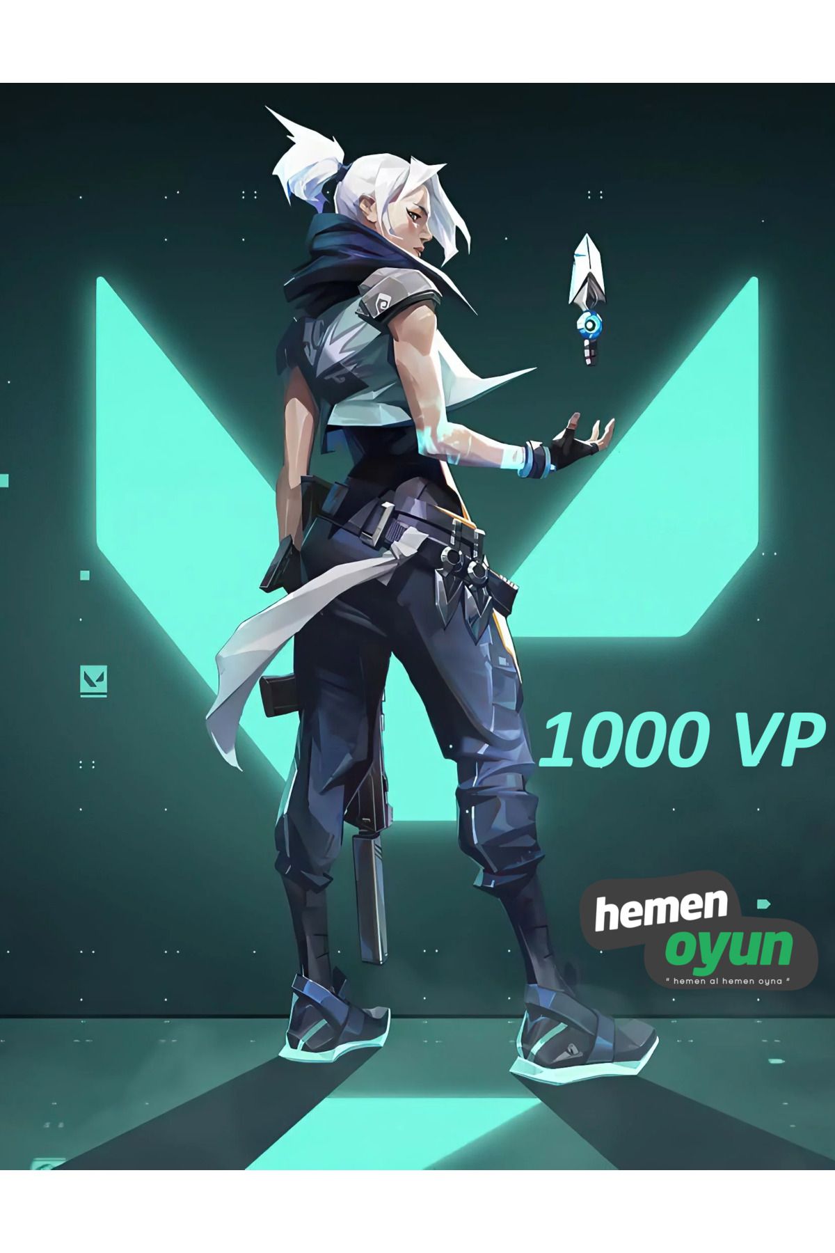 hemenoyun Valorant 1000 VP Points