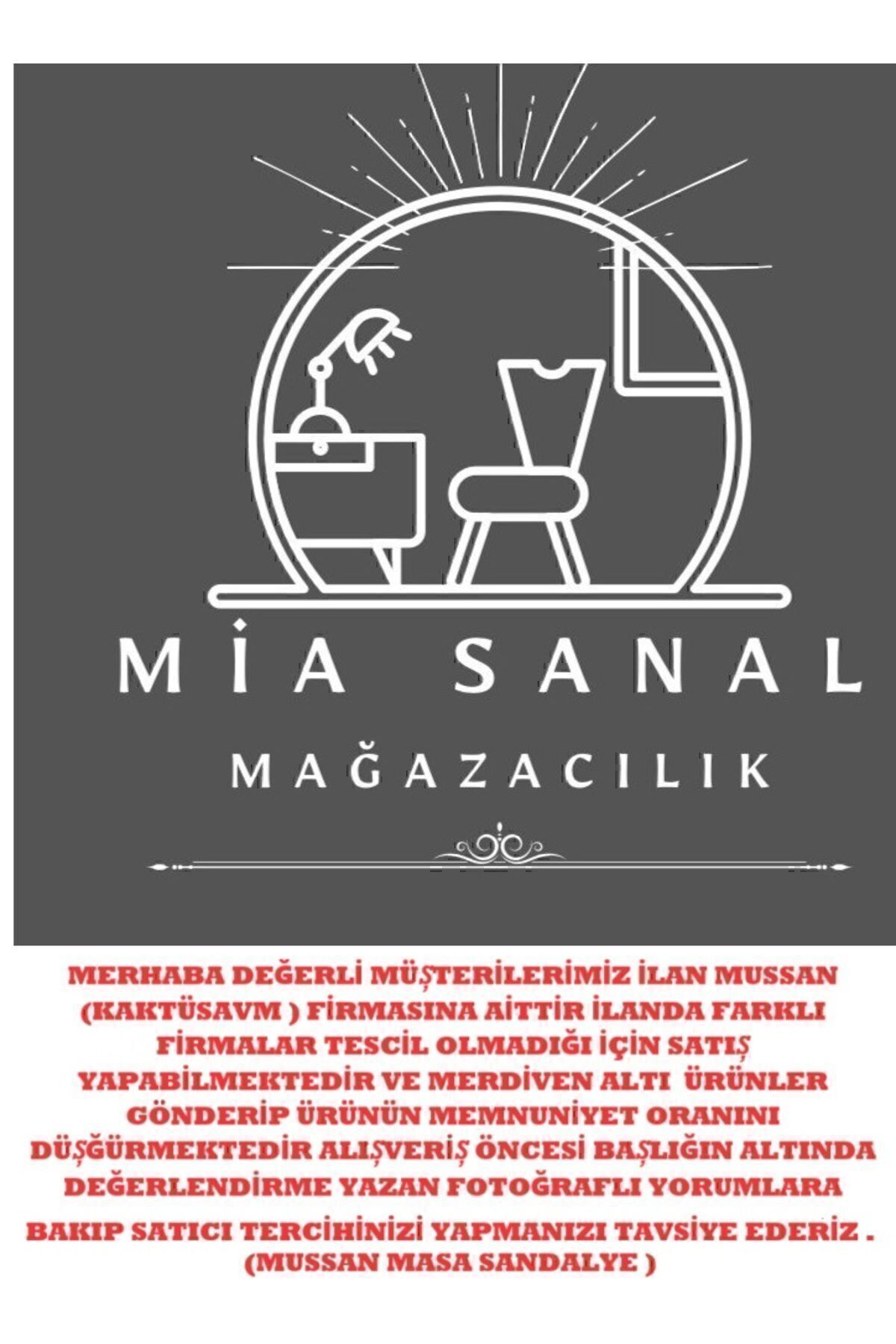 Kaktüs Avm 6'lı Teddy Sandalye Mutfak Sandalyesi Salon Sandalyesi Cafe Restaurant Sandalyesi