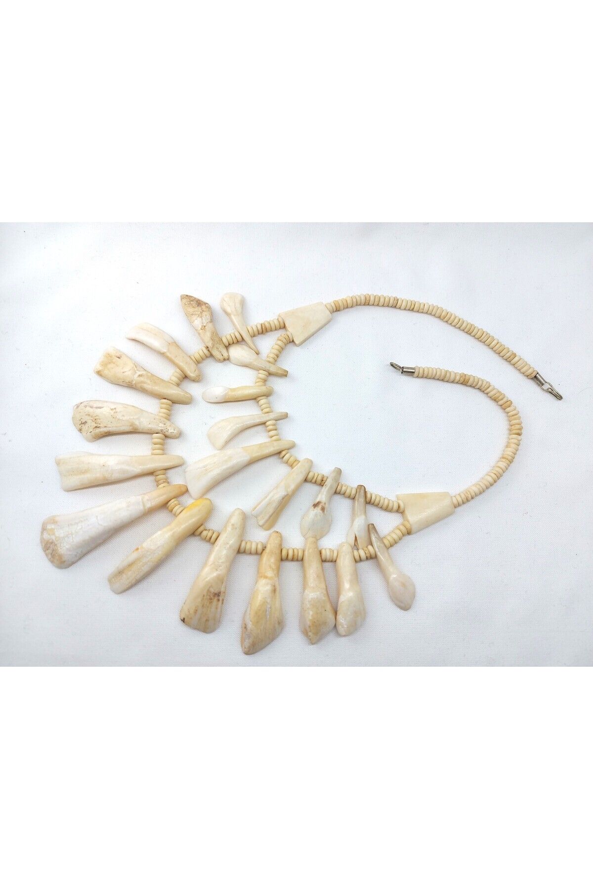 Virgo-Camel Tooth Necklace 4
