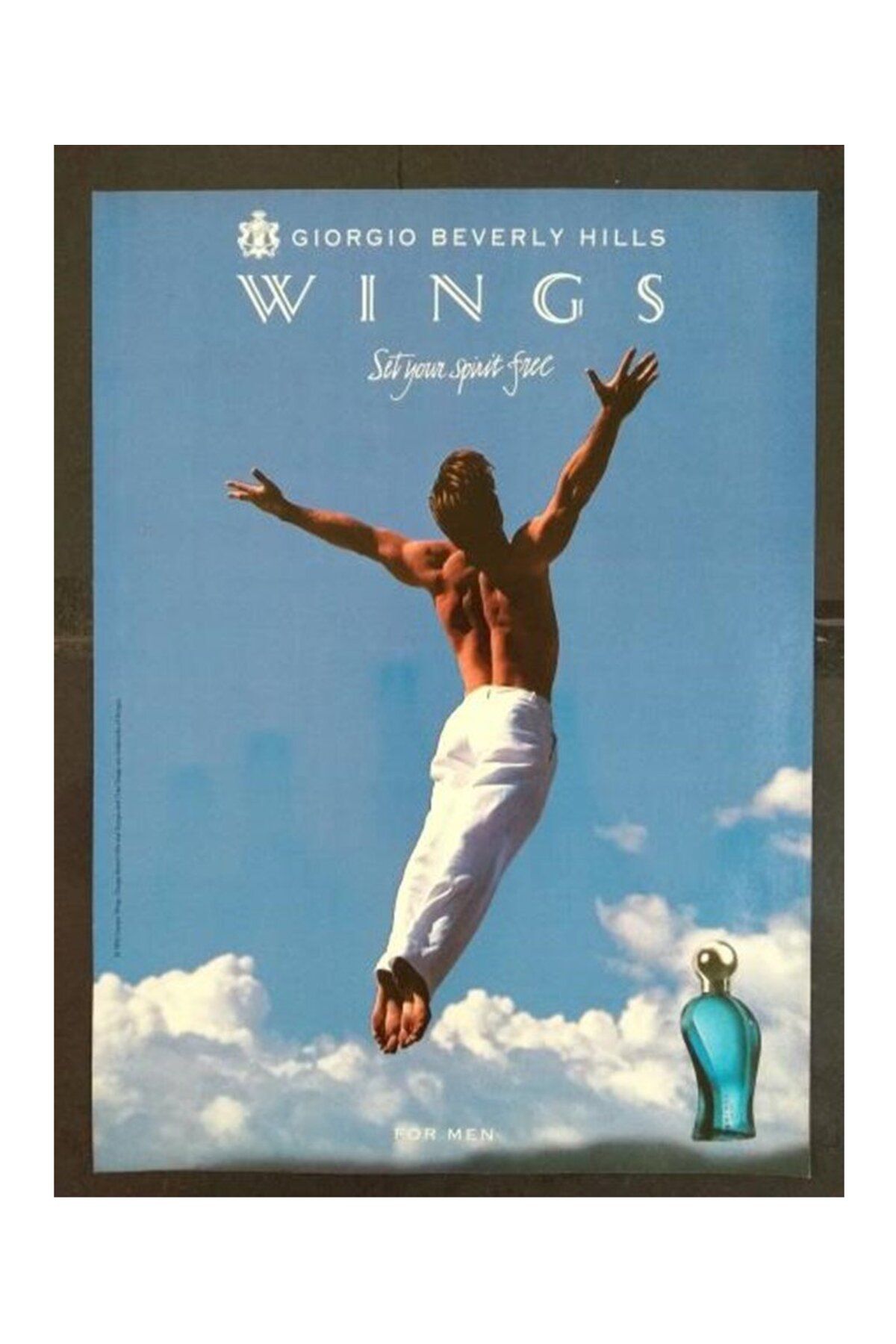 wings Giorgio Beverly Hills Wings Edt 100 ml Erkek Parfümü