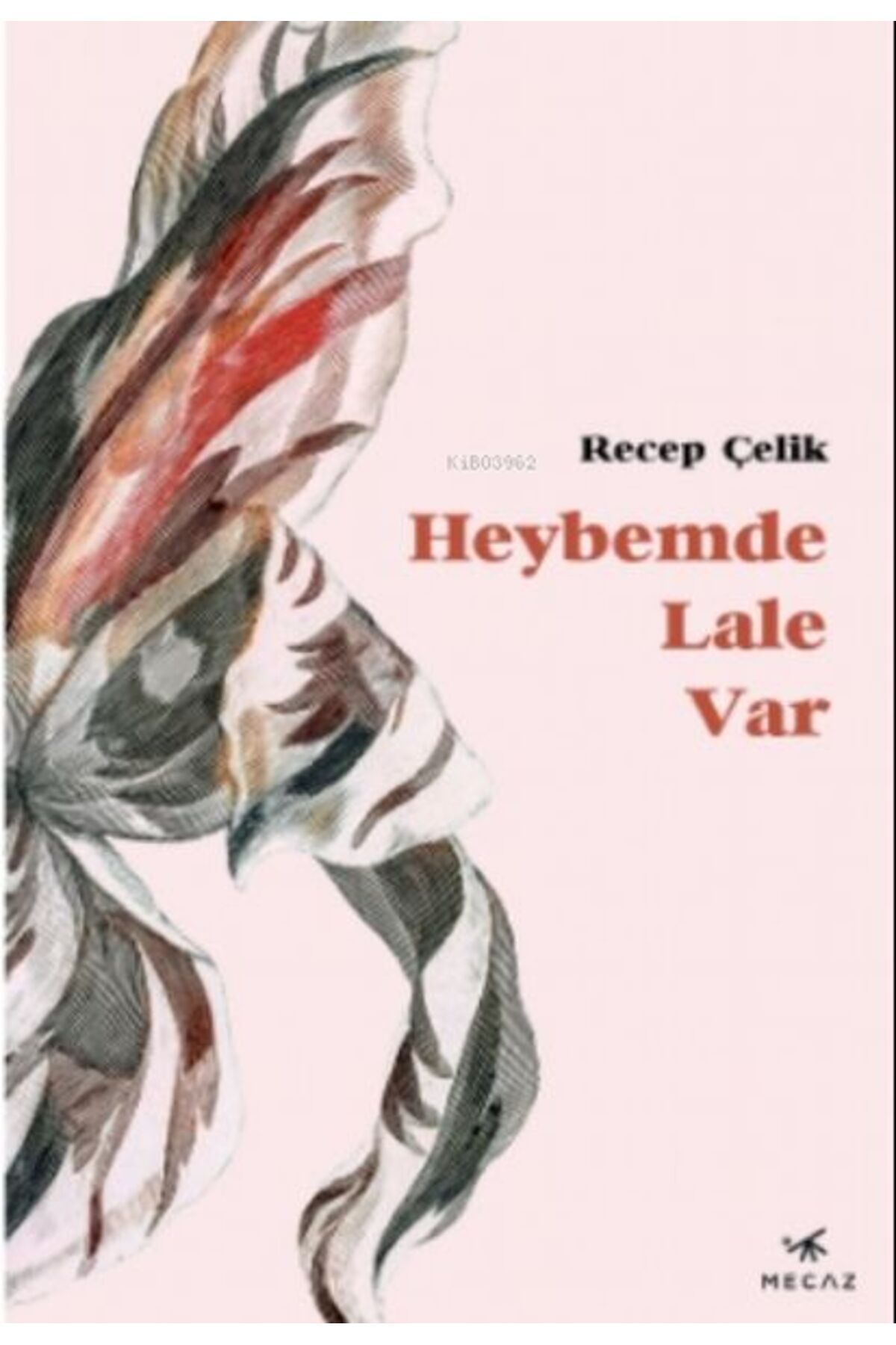 Mecaz Yayınları Heybemde Lale Var