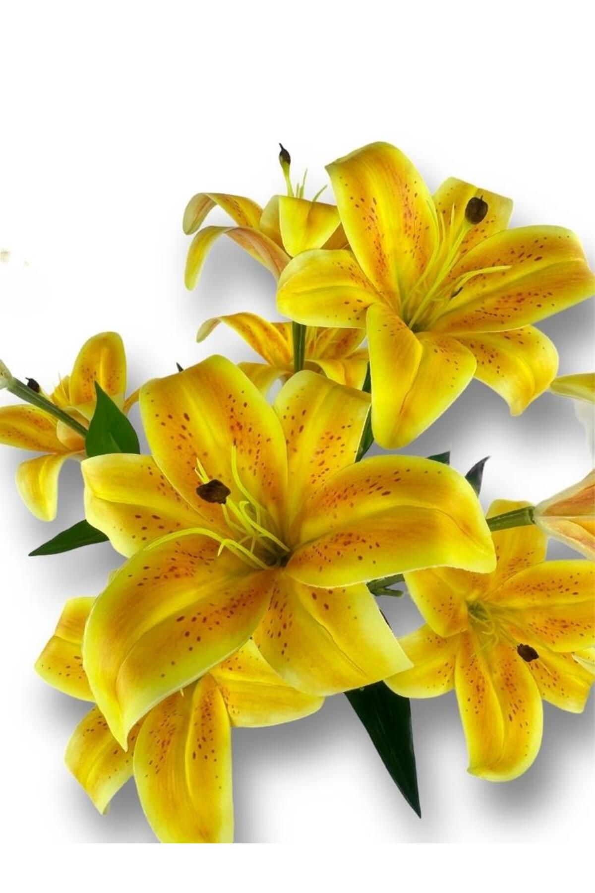 Nettenevime-Τεχνητό λουλούδι Wet Lily Salmon Yellow Color 9 Λουλούδια 55cm Πραγματική υφή Α Ποιότητα 5