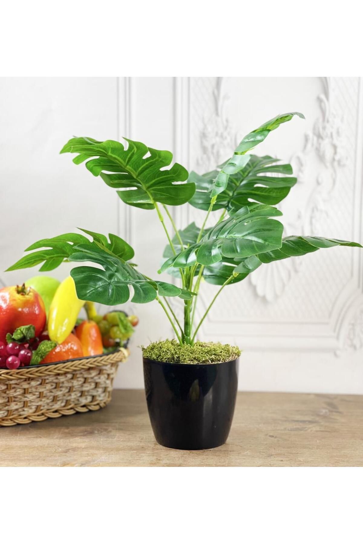 Nettenevime Yapay Çiçek Monstera 9 Dal Siyah Plastik Saksılı Deve Tabanı Dekoratif Süs Çiçeği