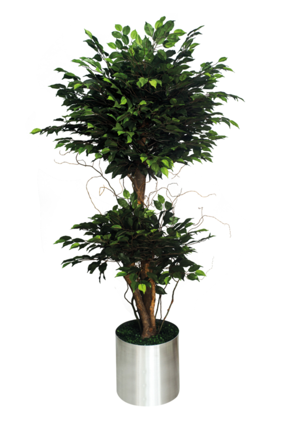 Artificial Tree Benjamin Bifold Natural Appearance 1. Quality
