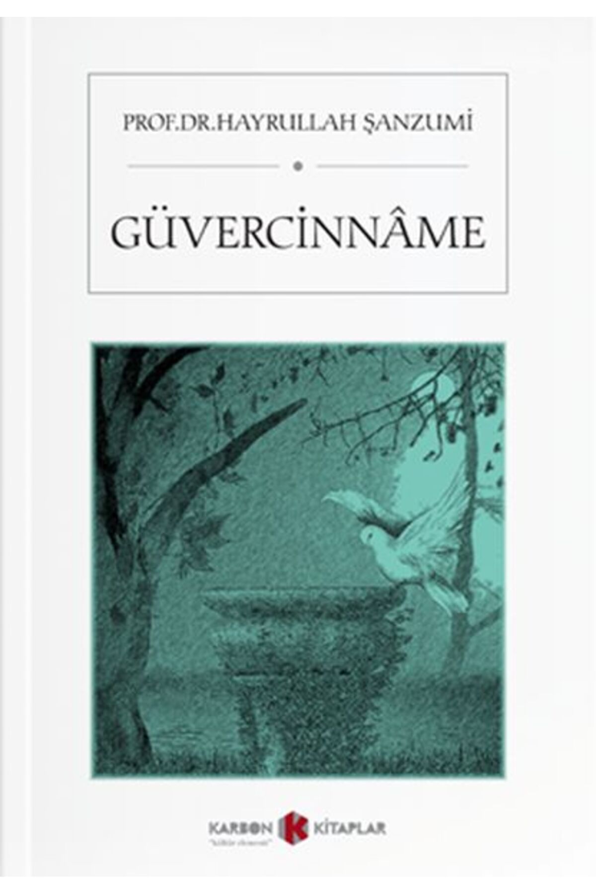 Karbon Kitaplar Güvercinname