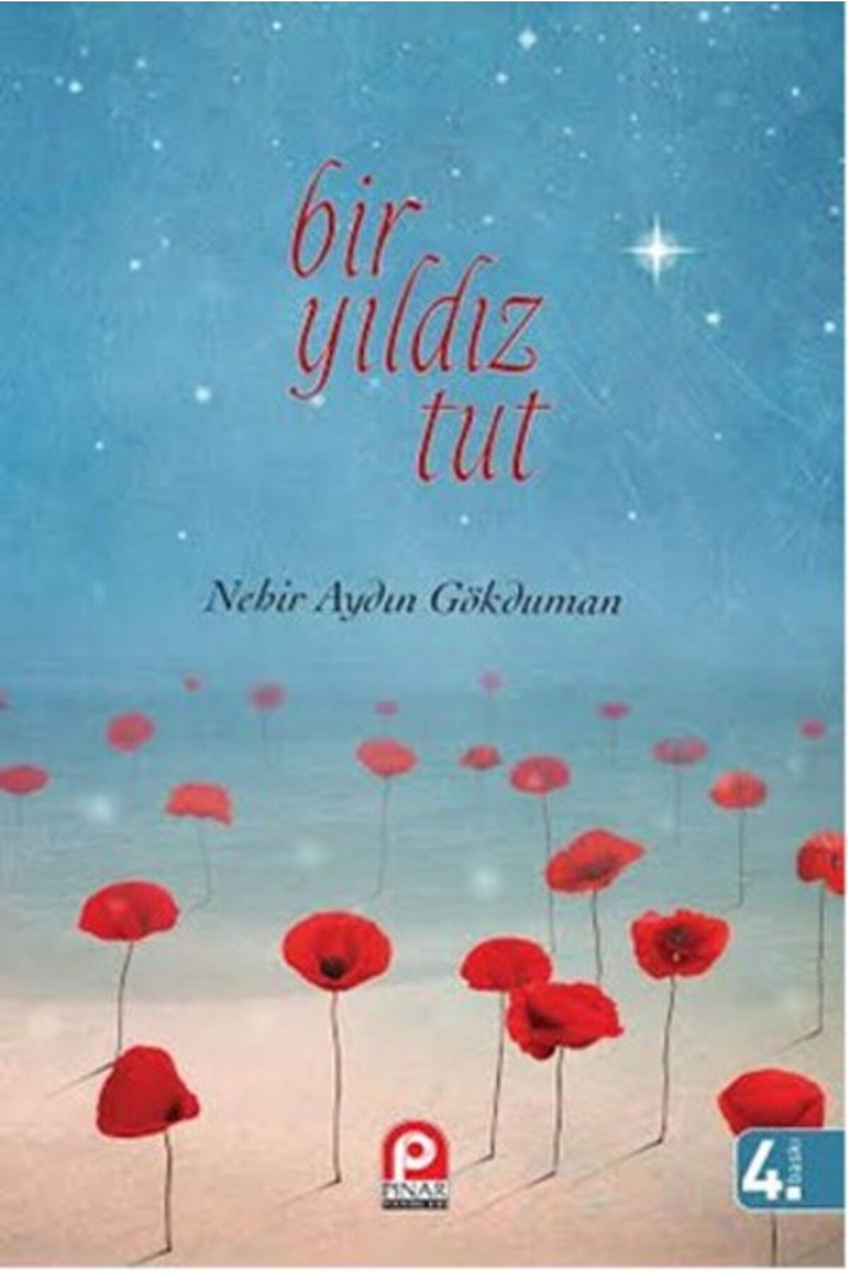 Pınar Yayınları Bir Yıldız Tut
