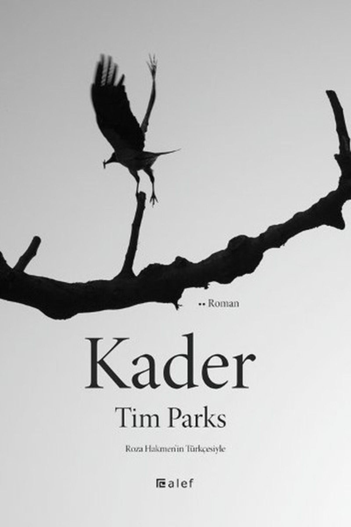 Alef Yayınevi Kader