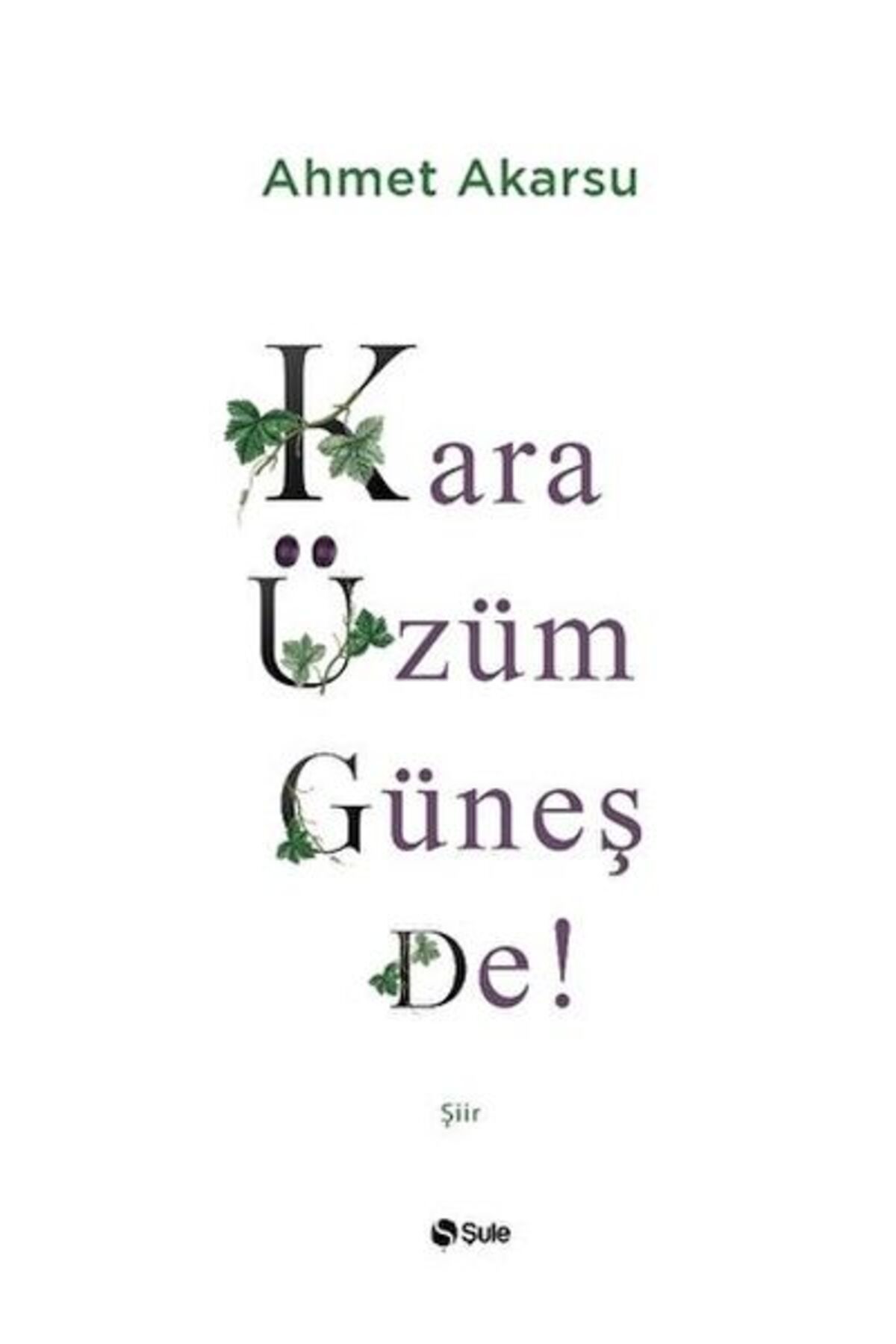 Şule Yayınları Kara Üzüm Güneş De