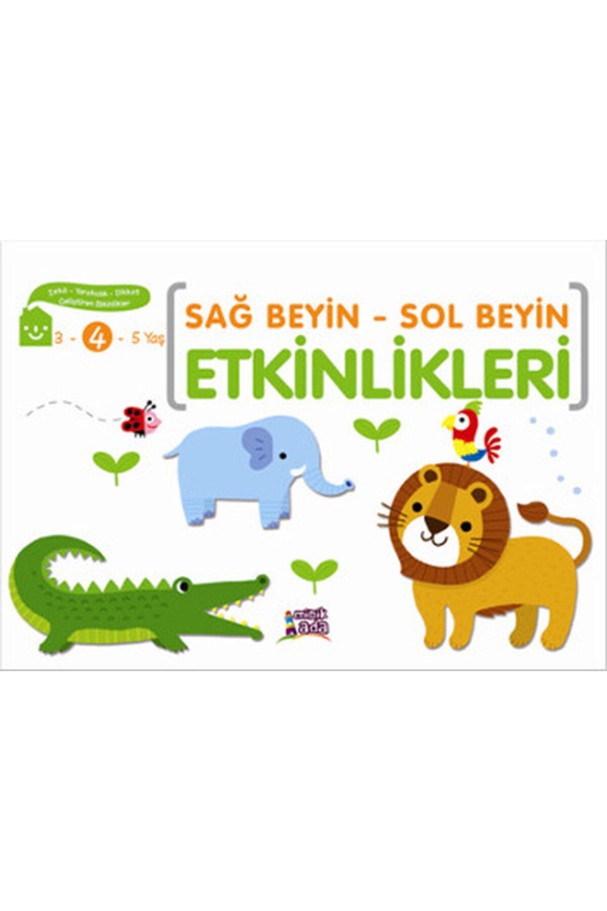 Minik Ada Yayınları Sağ Beyin - Sol Beyin Etkinlikleri (4 Yaş)