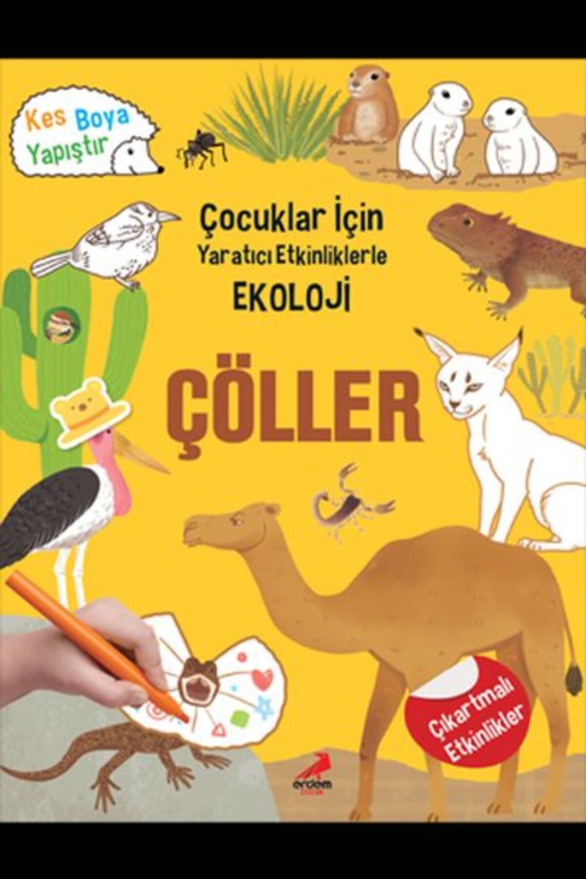 Türk Dil Kurumu Yayınları Çöller - Çocuklar İçin Yaratıcı Etkinliklerle Ekoloji - Kes-Boya-Yapıştır