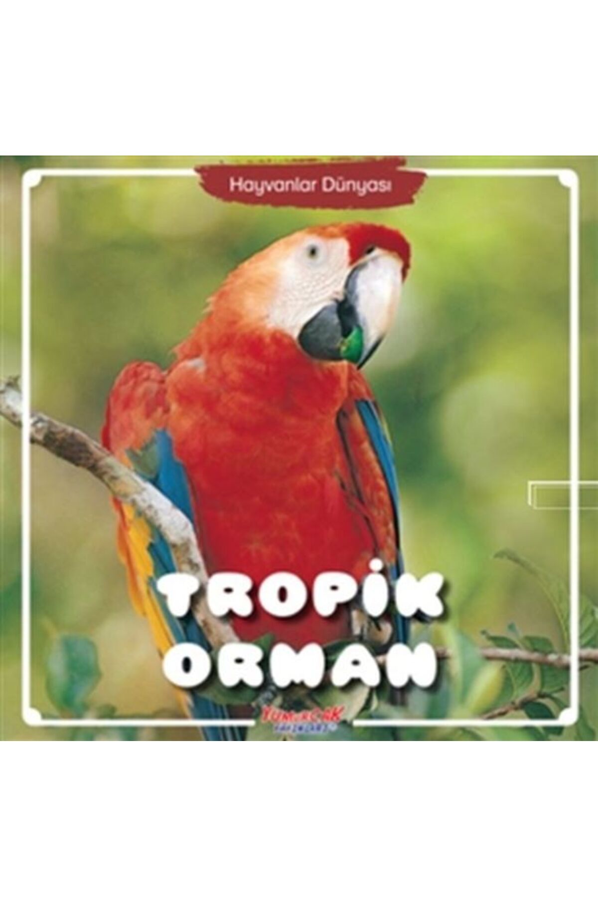 Türk Dil Kurumu Yayınları Tropik Orman - Hayvanlar Dünyası